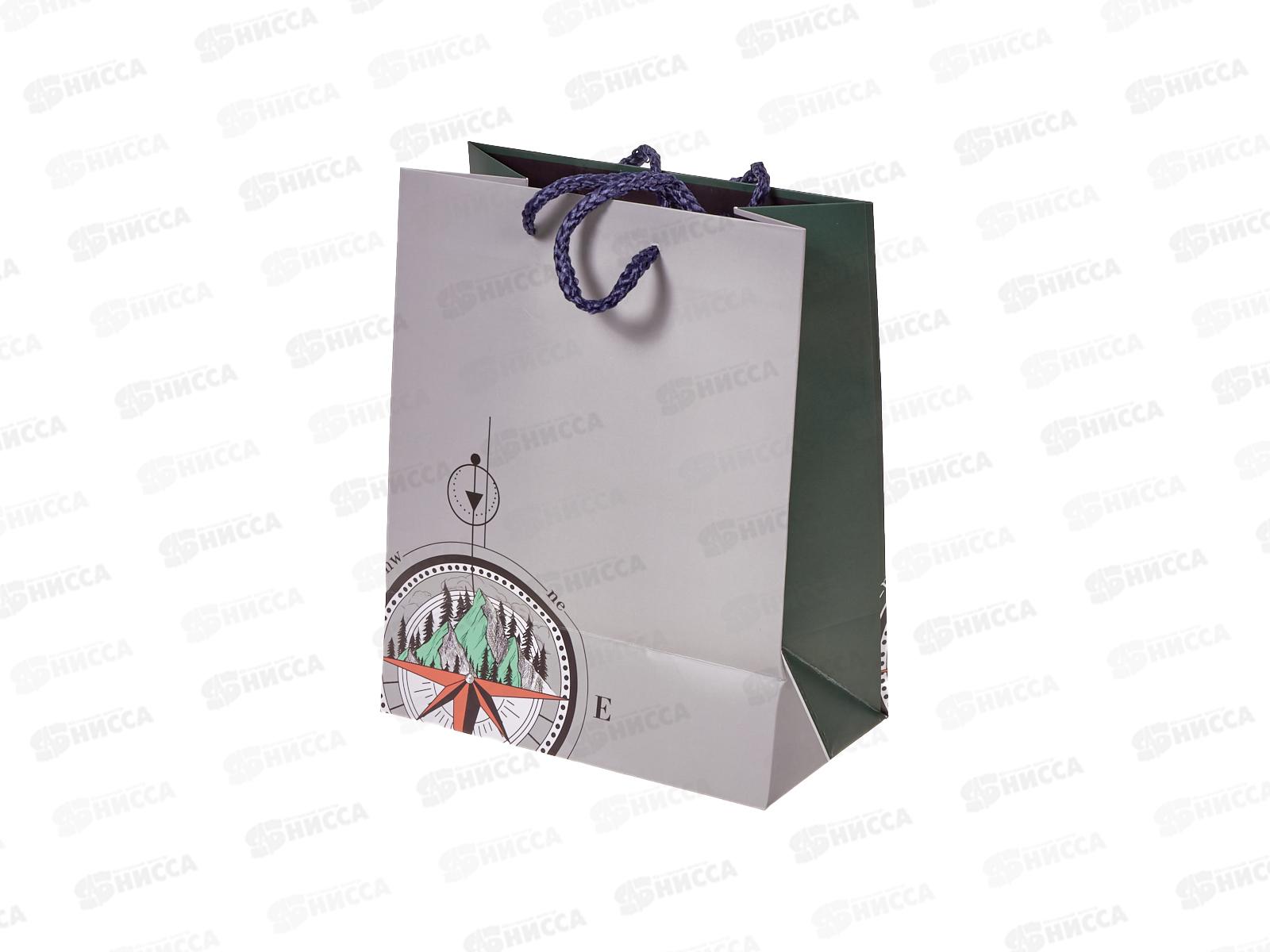 Пакет подарочный АД 18*22,3 0292.950