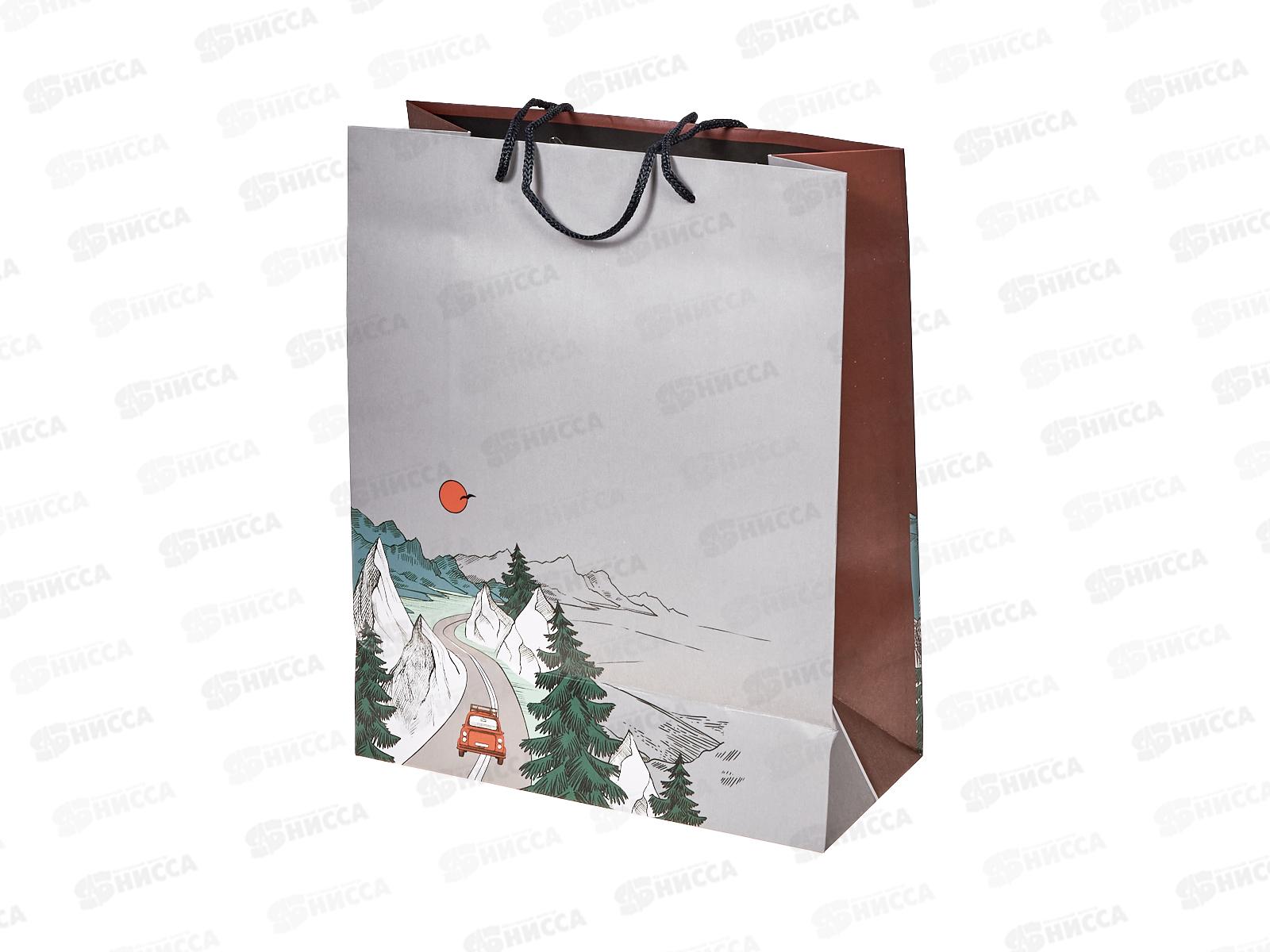 Пакет подарочный АД 26*32 0293.949