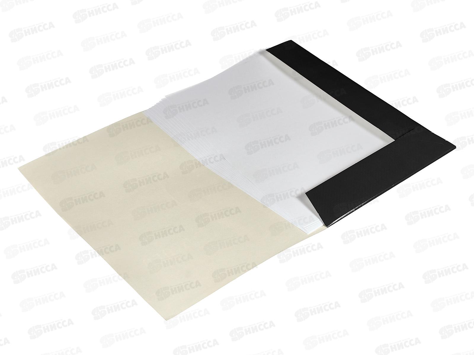 Папка для рисования и худ.работ  А4 10л Hatber Мудрая сова,31102