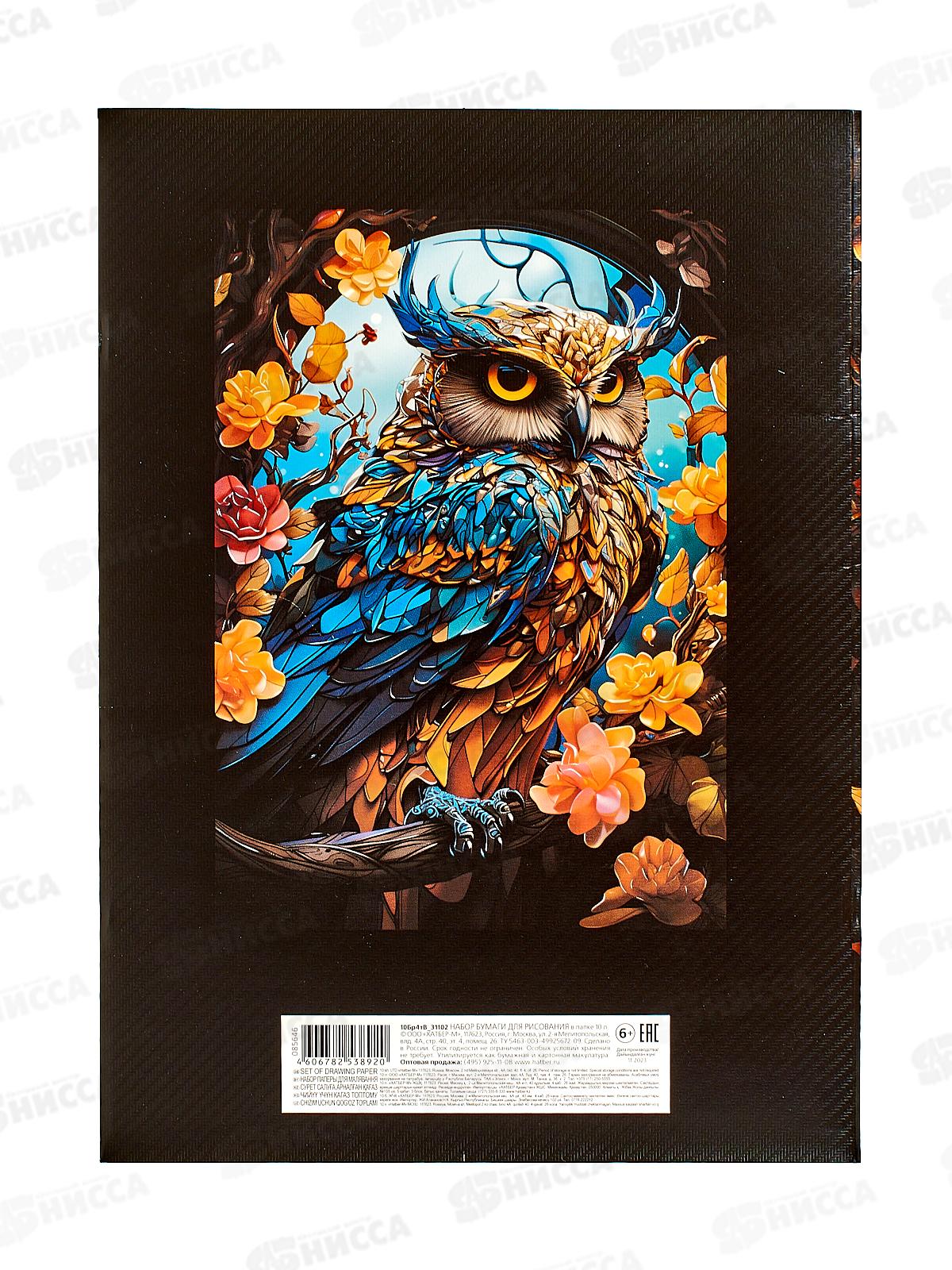 Папка для рисования и худ.работ  А4 10л Hatber Мудрая сова,31102