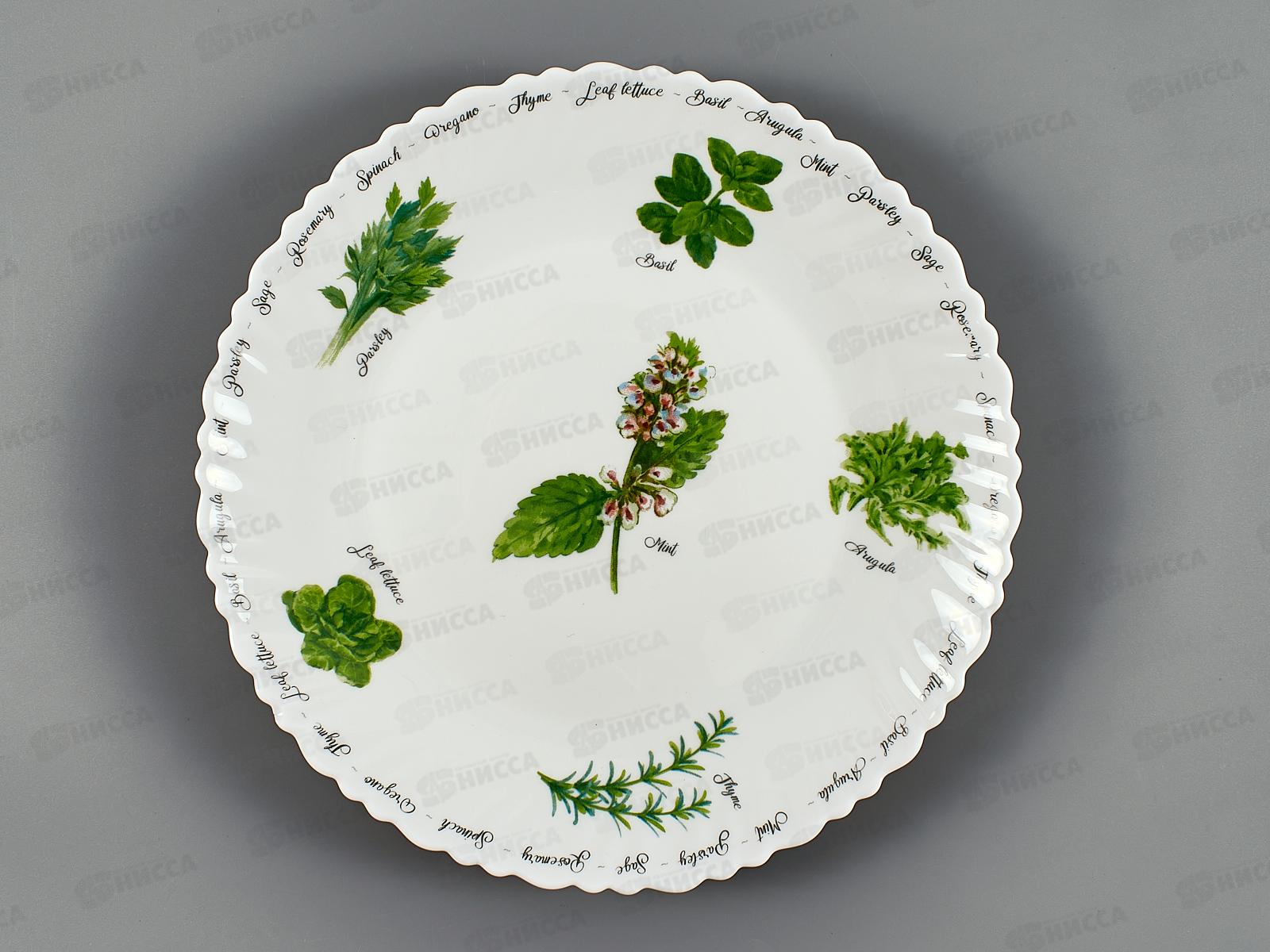 Тарелка плоская BY23LHP95-6 24см Verdi 188173