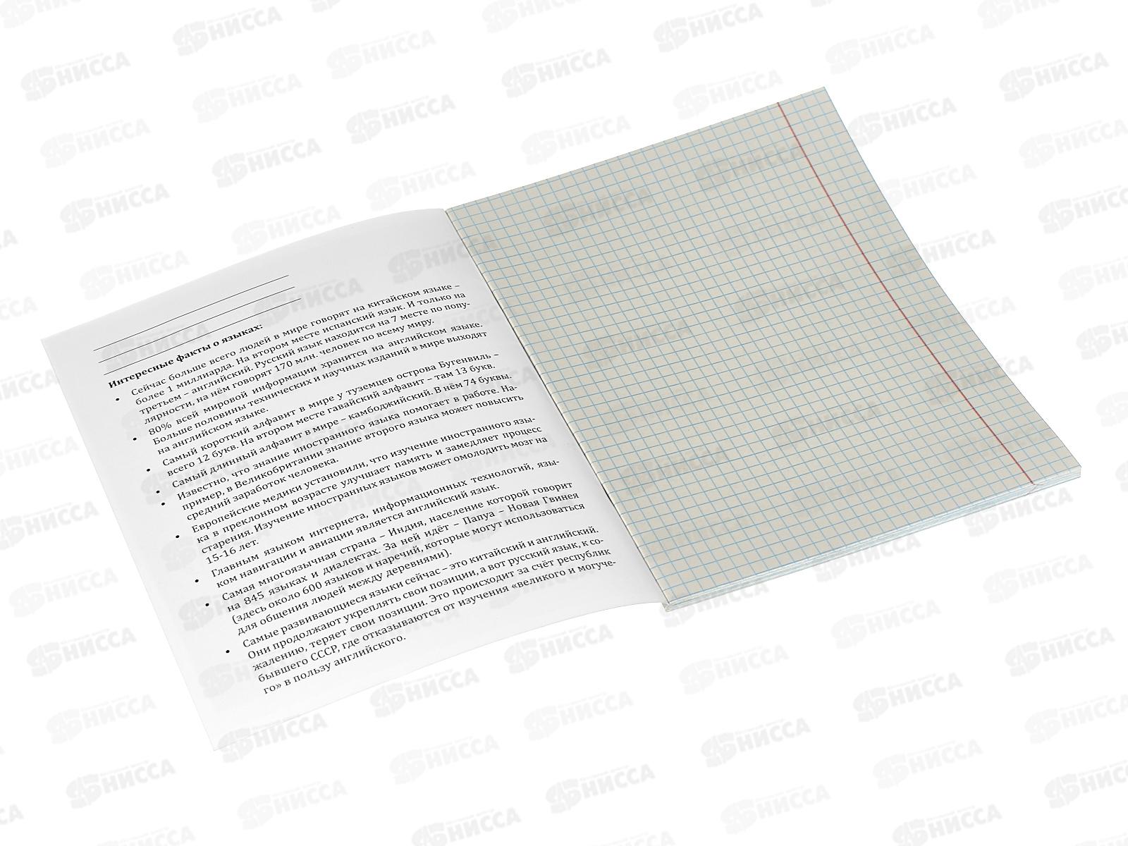 Тетрадь 48л кл. Remix. &quotТайна знаний&quot Иностранный язык  второй блок, Т48-1392 *80