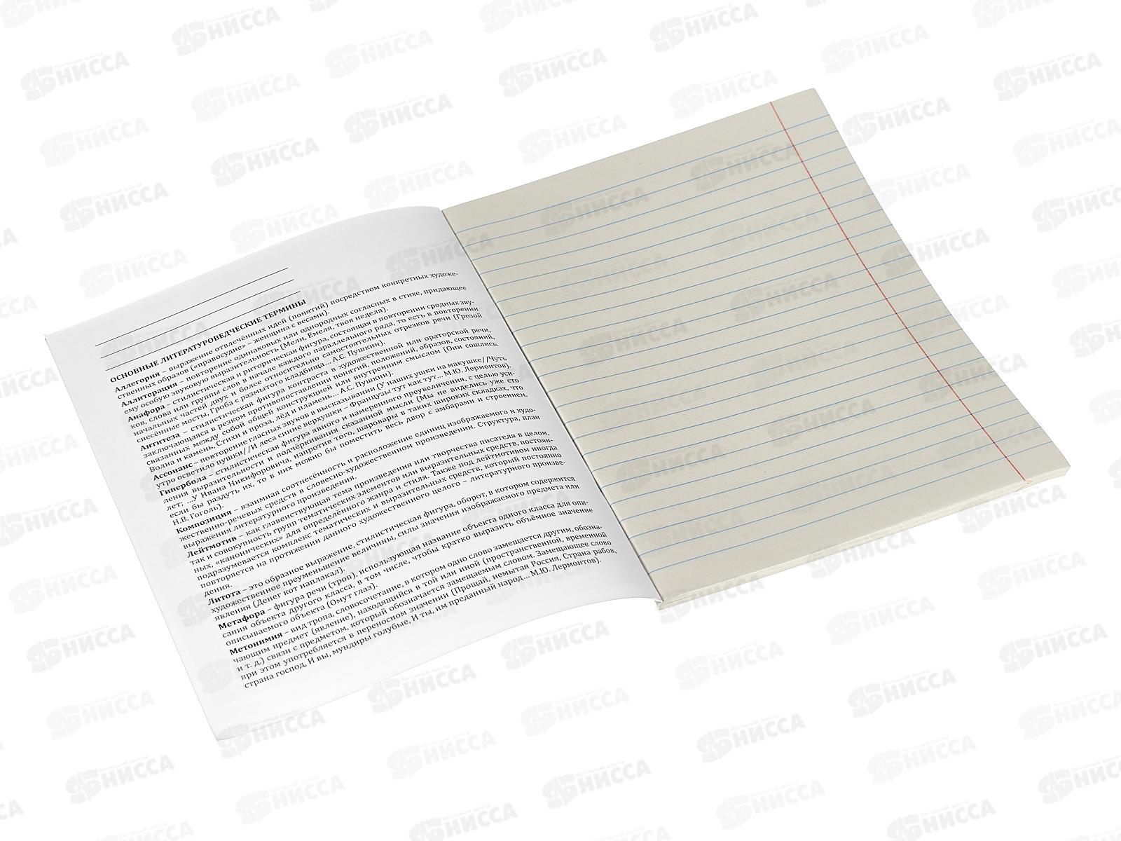 Тетрадь 48л лин. Remix. &quotТайна знаний&quot Литература, Т48-1401 *10/80