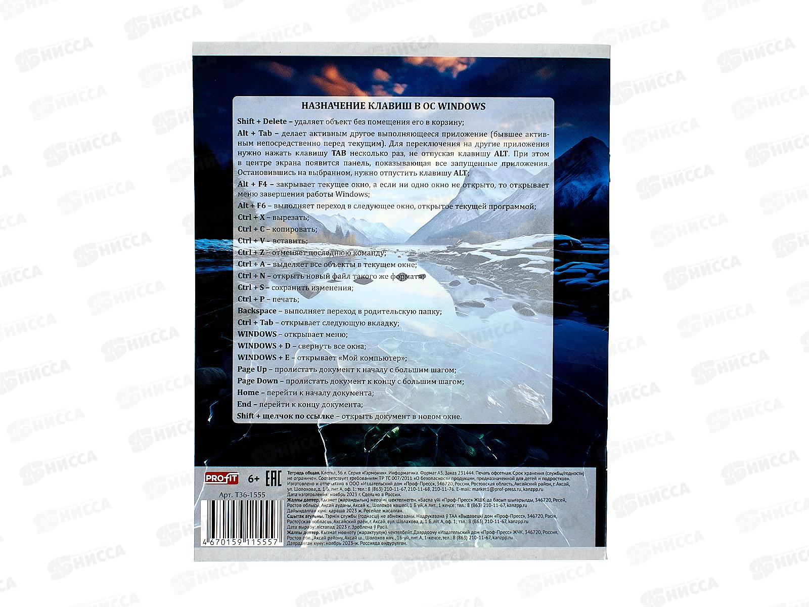 Тетрадь 36листов клетка  Profit &quotГармония&quot Информатика, эконом, Т36-1555 *10/80