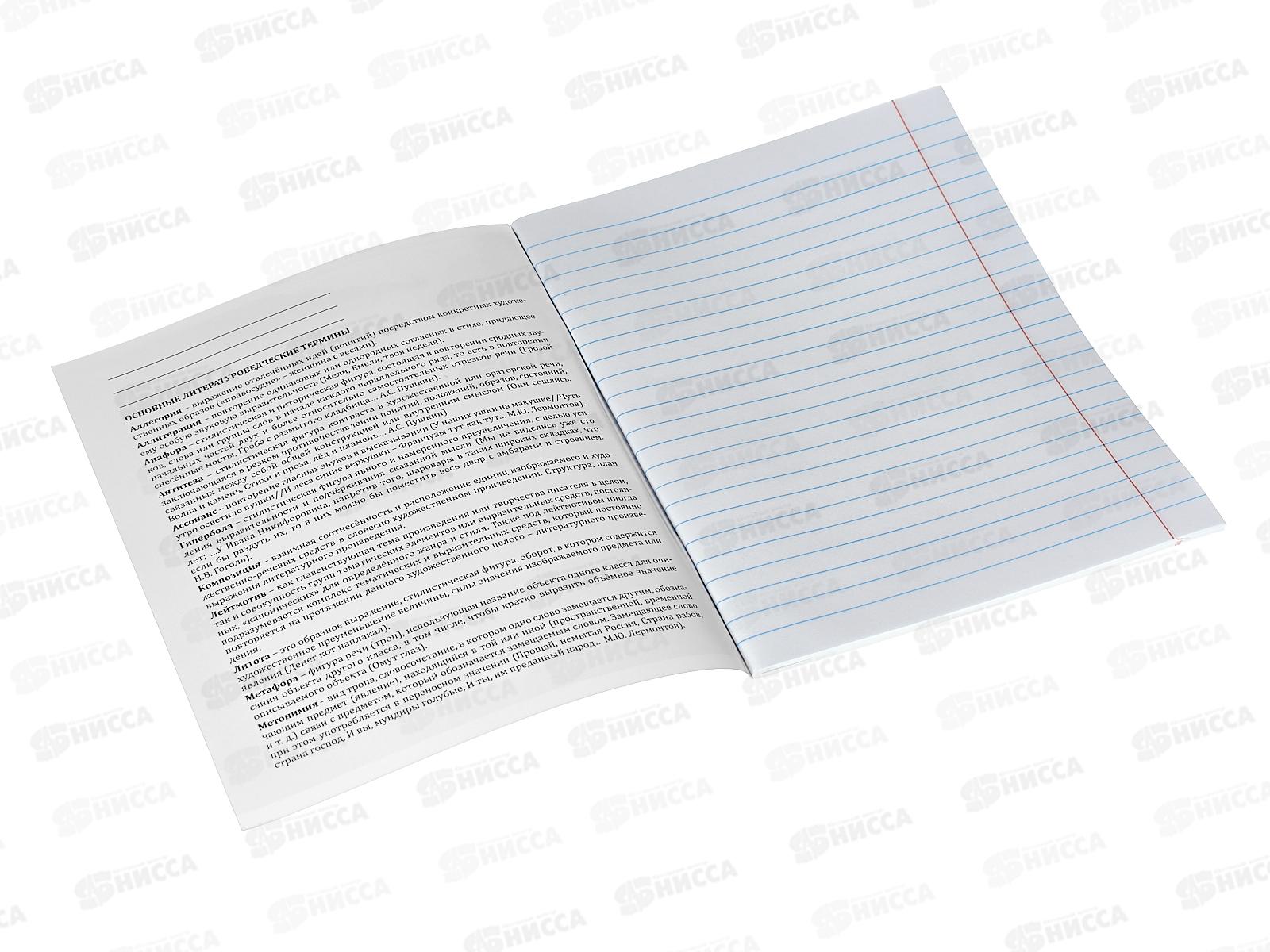 Тетрадь 36листов линия  Profit &quotГармония&quot Литература, эконом, Т36-1563 *80