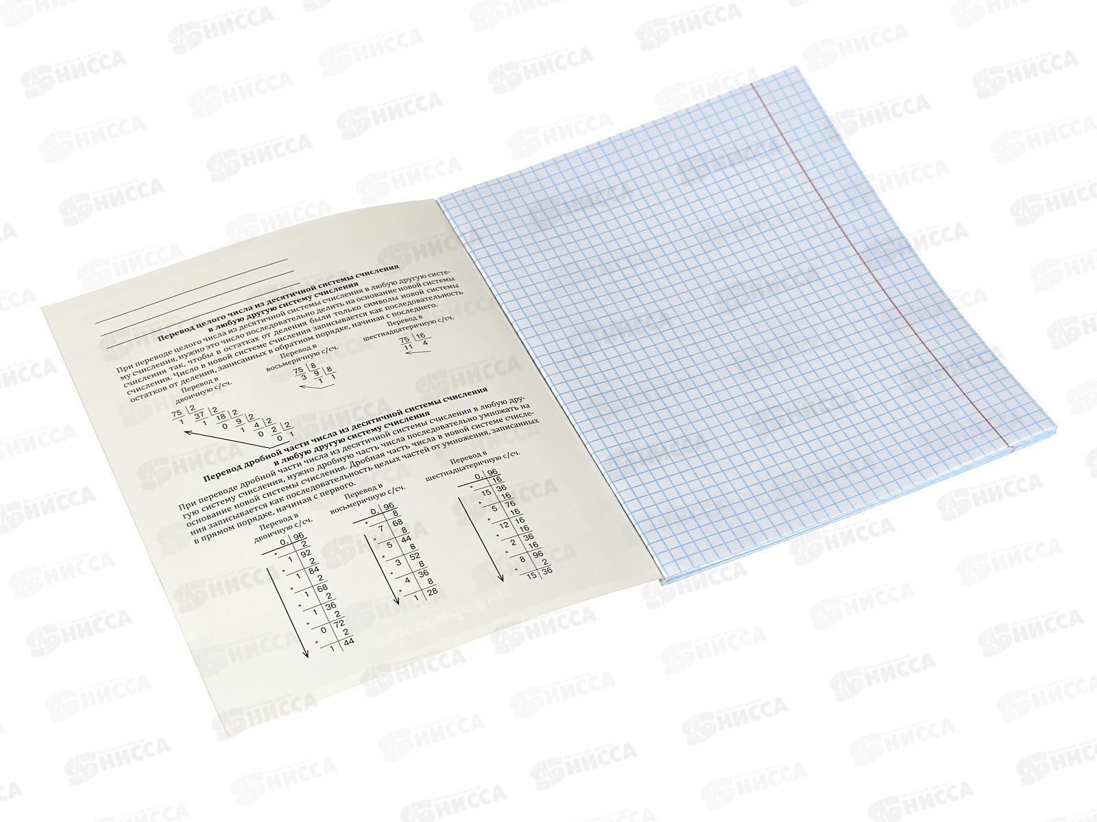 Тетрадь 48л кл. ПП &quotЖил был кот&quot Информатика, Т48-2317 *10/80