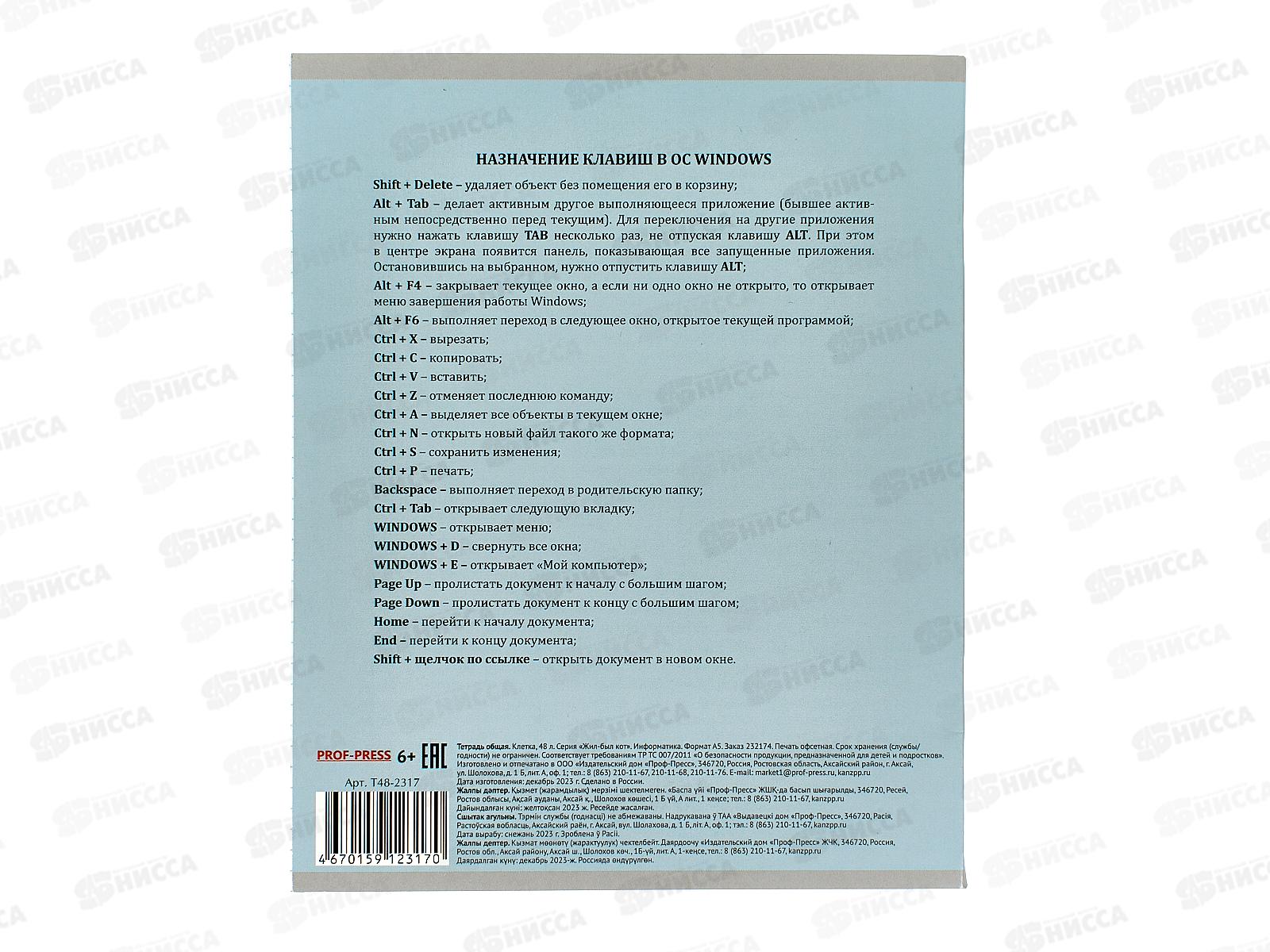 Тетрадь 48л кл. ПП &quotЖил был кот&quot Информатика, Т48-2317 *10/80