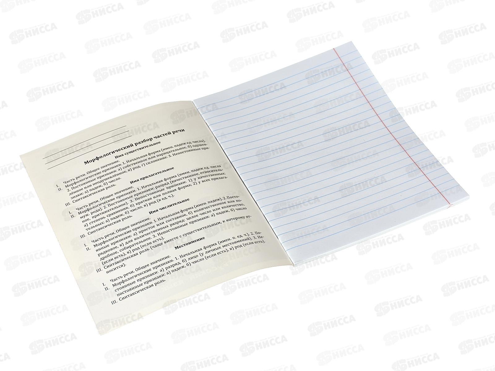 Тетрадь 48л линия ПП &quotЖил был кот&quot Русский язык, Т48-1452 *10/80