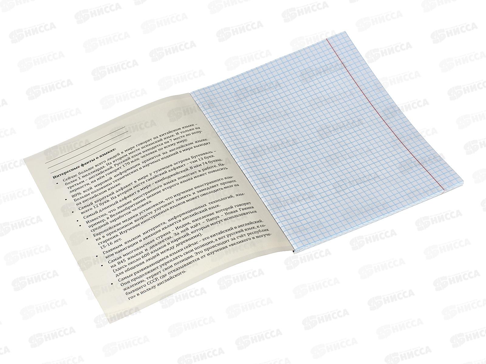 Тетрадь 48л кл. ПП &quotКапибара&quot Иностранный язык, 48-0036 *10/80