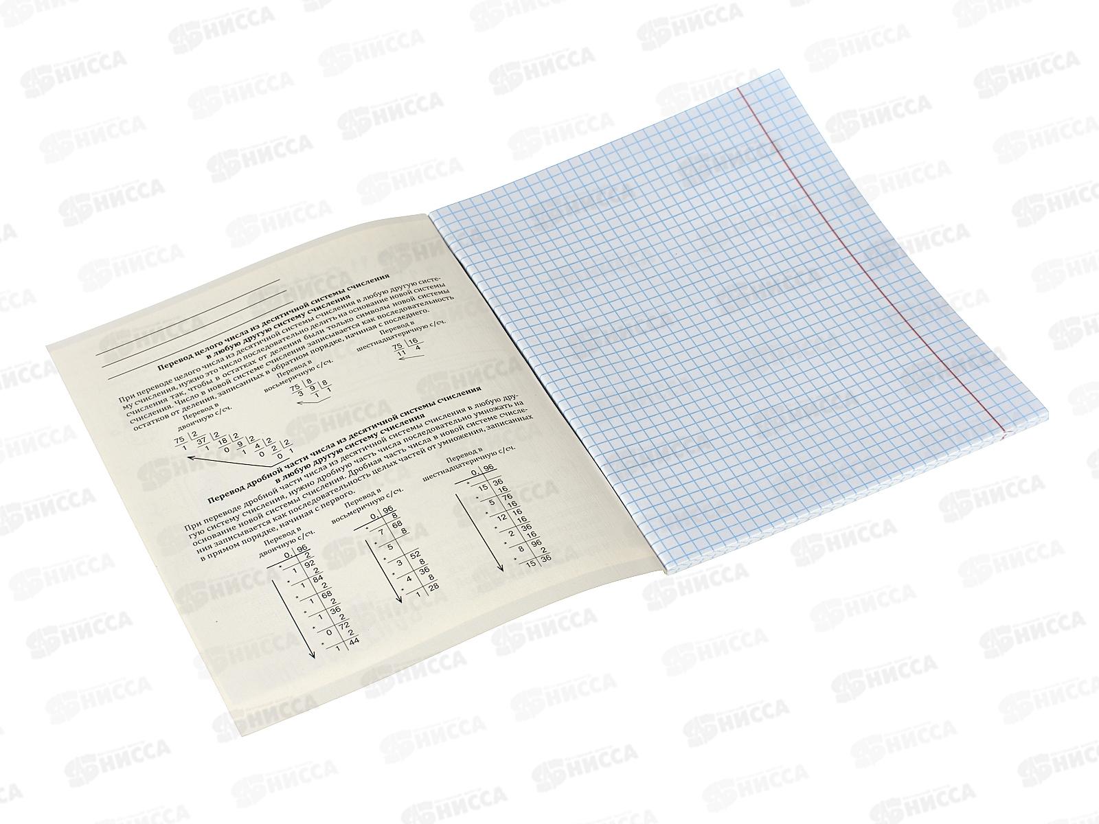 Тетрадь 48л кл. ПП &quotКапибара&quot Информатика, 48-0037 *10/80