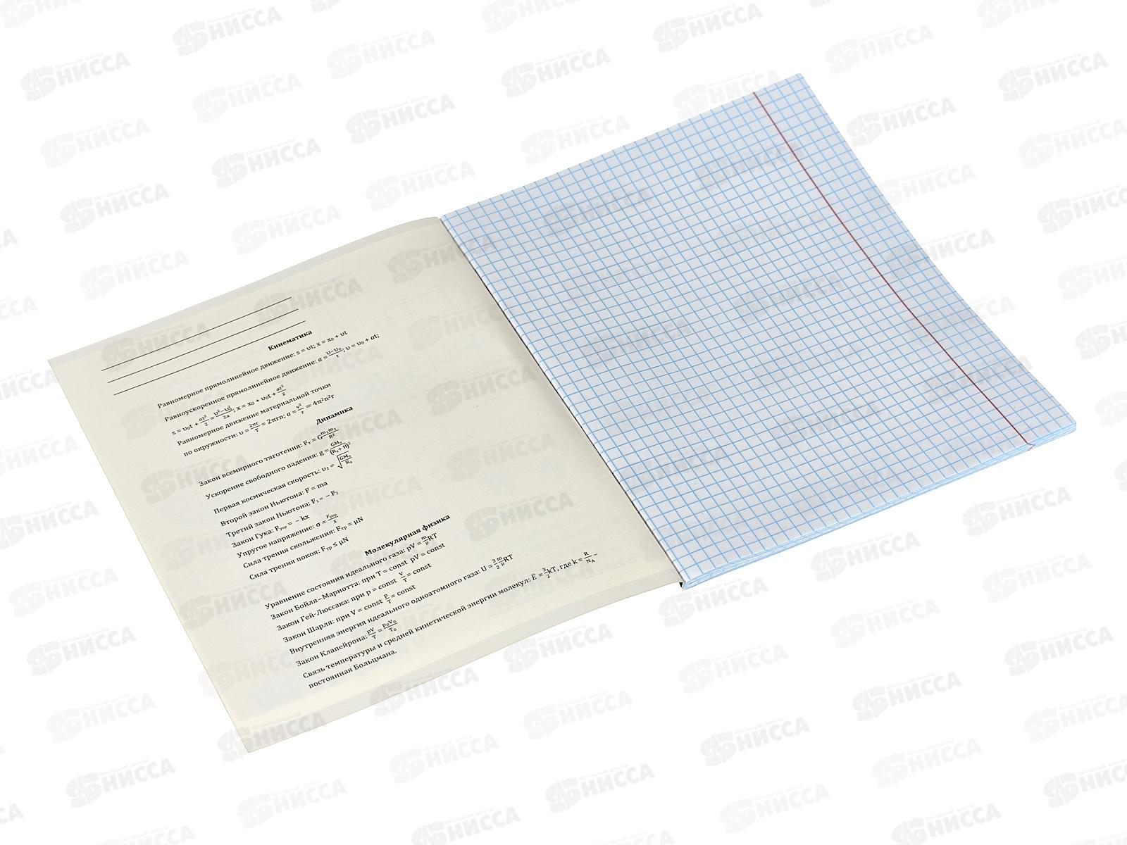 Тетрадь 48л кл. ПП &quotКапибара&quot Физика, 48-0001 *10/80