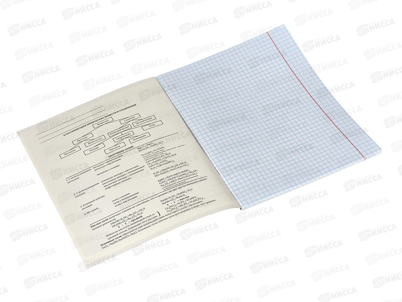 Тетрадь 48л кл. ПП &quotКапибара&quot Химия, 48-0002 *10/80