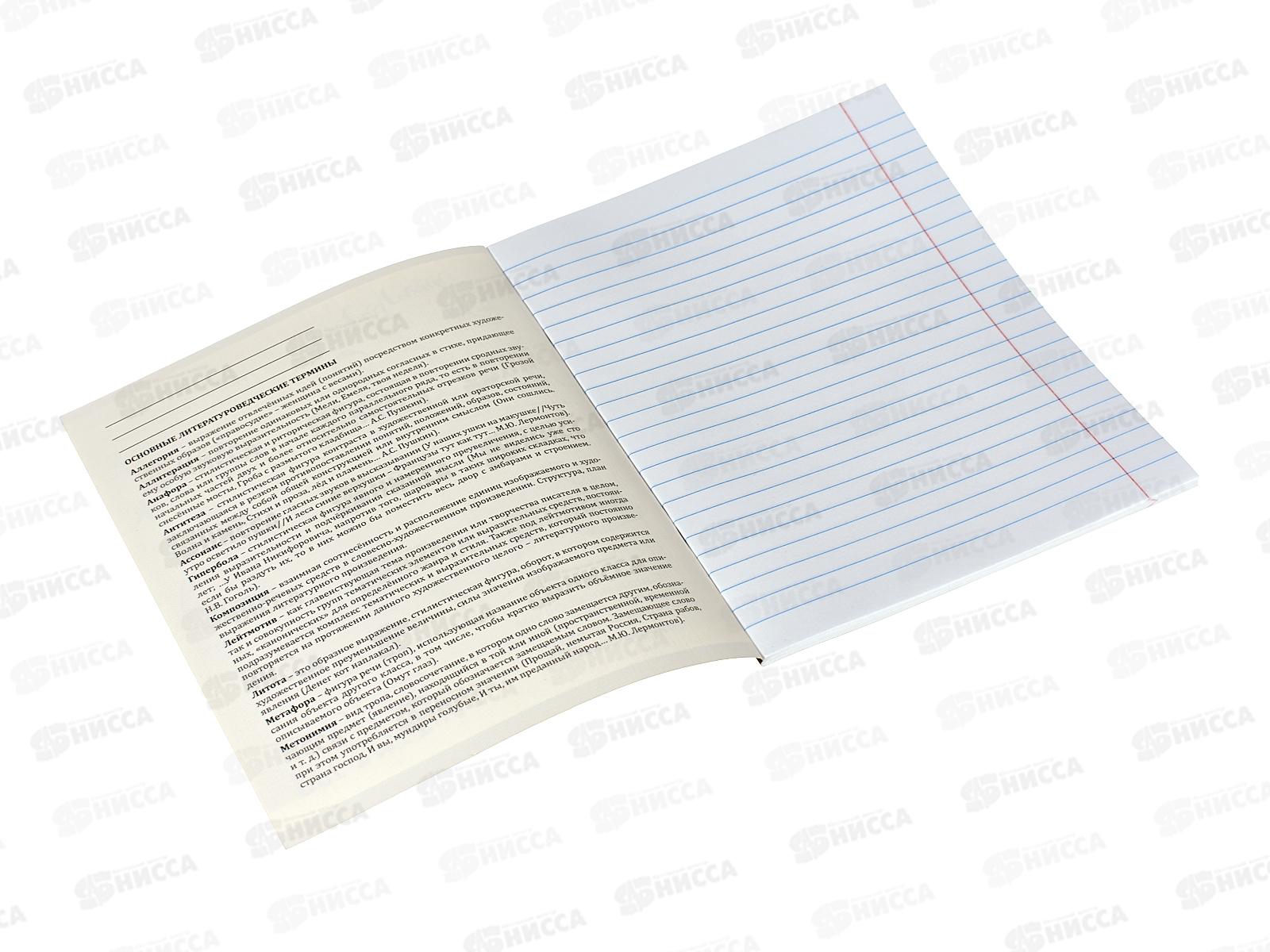 Тетрадь 48л лин. ПП &quotКапибара&quot Литература, 48-0003 *10/80