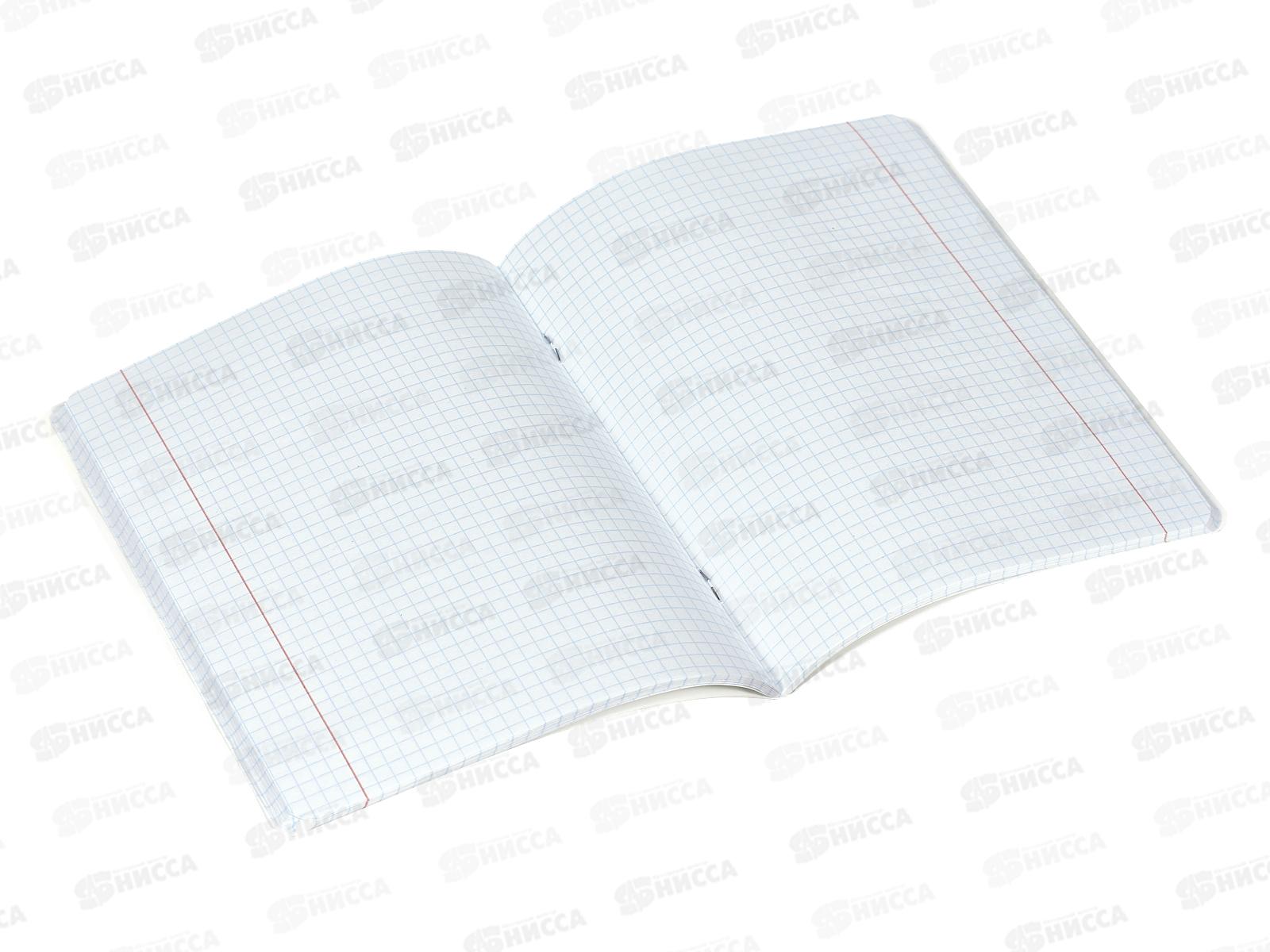 Тетрадь 48листов клетка  BG Жажда странствий,11035*8/80