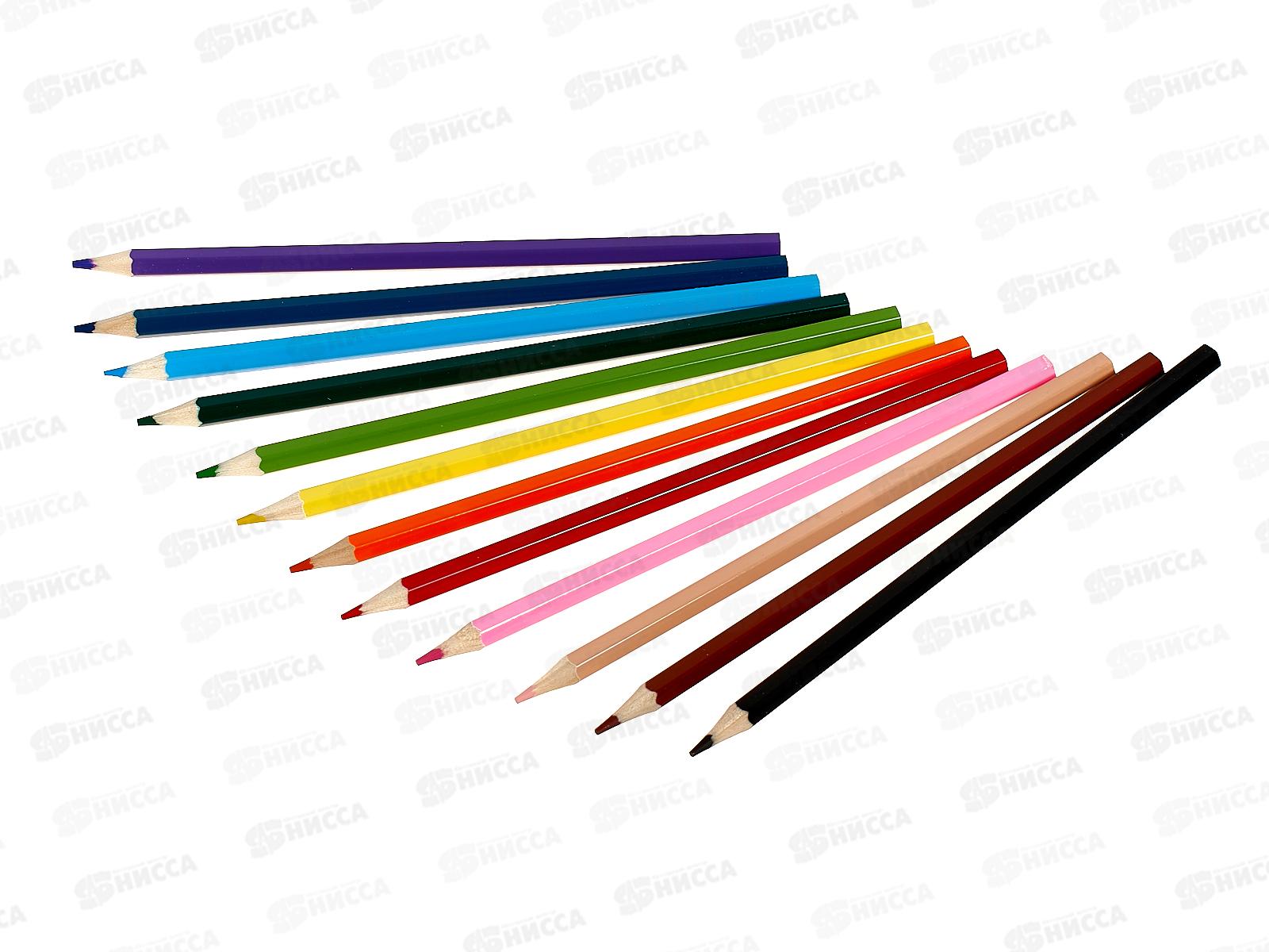 Карандаши 12 цветов Hatber zoo,084391 *12