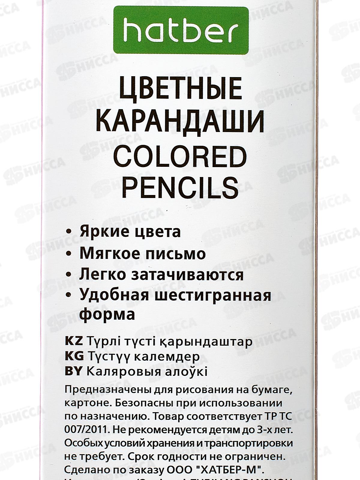 Карандаши 6 цветов Hatber zoo,084390*24