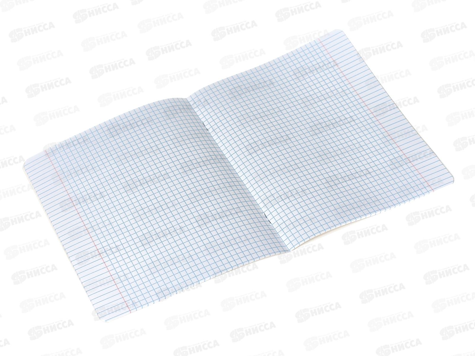 Тетрадь 12листов клетка ПОЛИ Щенки,59973 *10/280