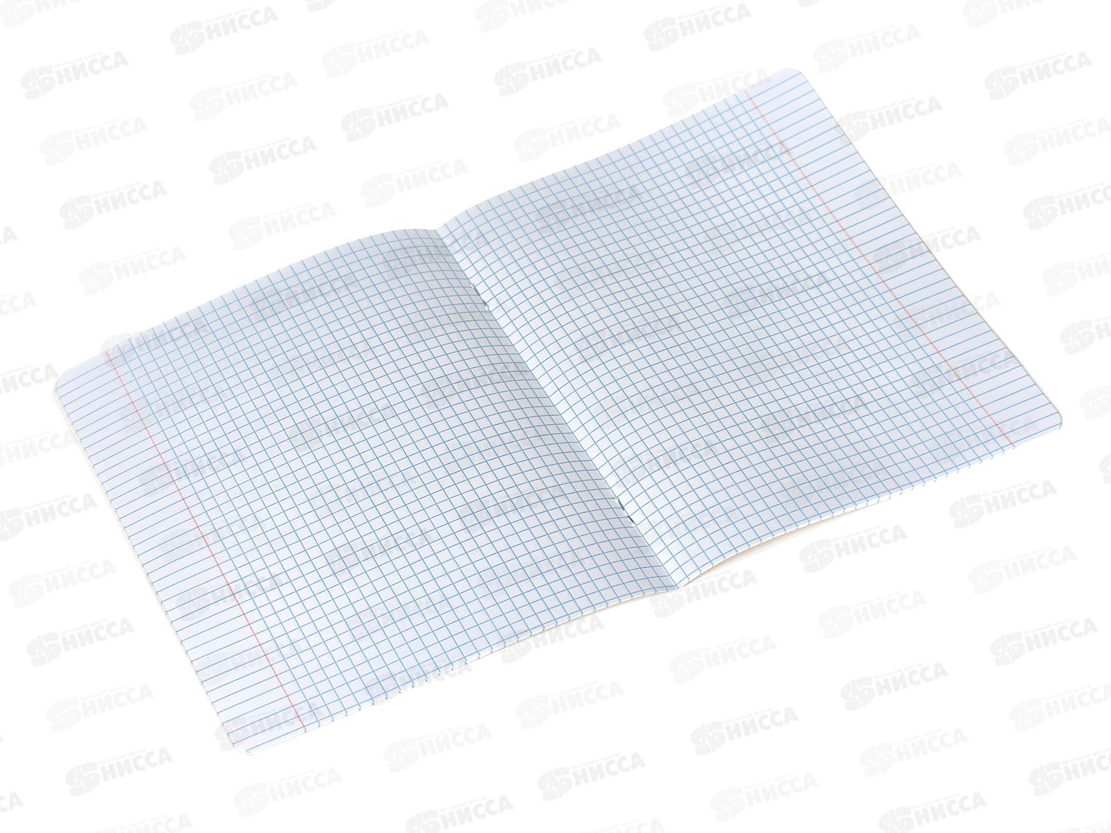 Тетрадь 12листов клетка ПОЛИ Дракончики,60540*10/280