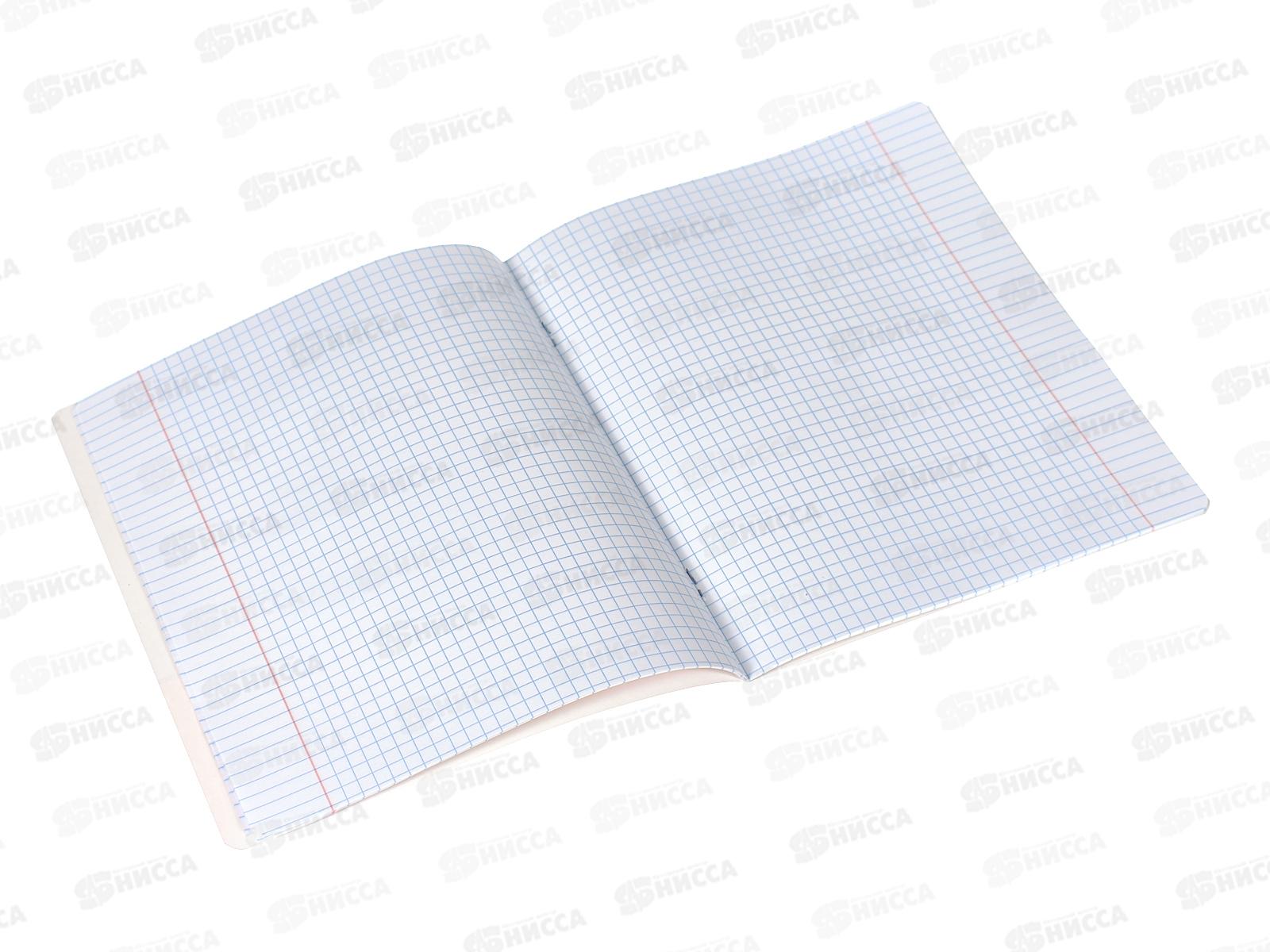 Тетрадь 18листов клетка ПОЛИ Смузи,60558*10/200