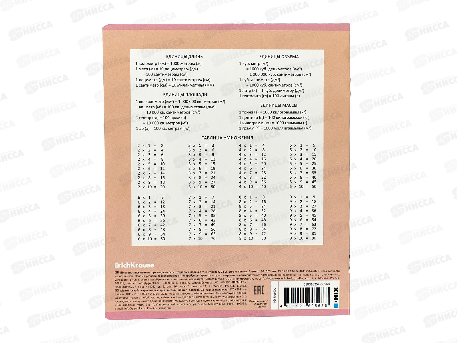 Тетрадь 18листов клетка ПОЛИ Pointes 60568 *10/200