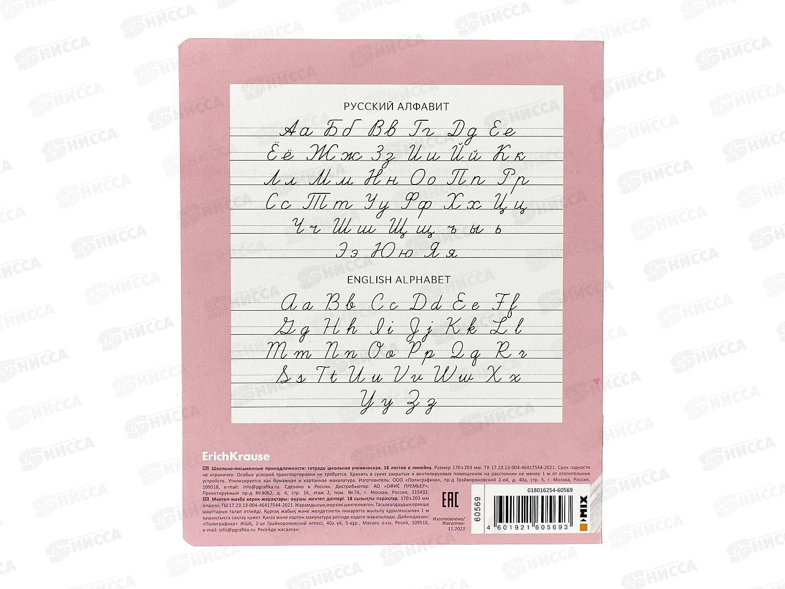 Тетрадь 18листов линия ПОЛИ Pointes 60569 *10/200