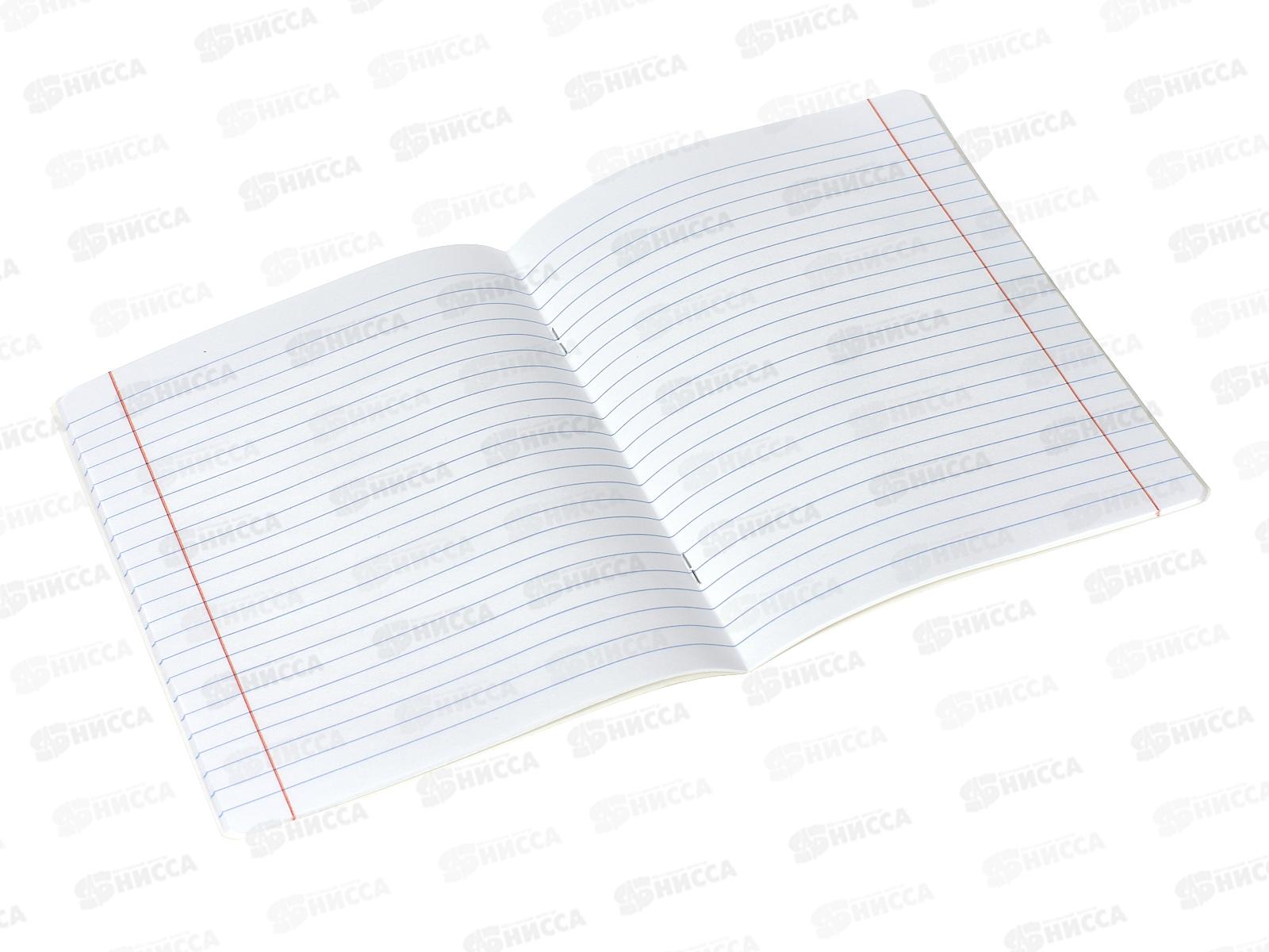 Тетрадь 24листа  линия  ПОЛИ Цветущие луга,49232 *10/160