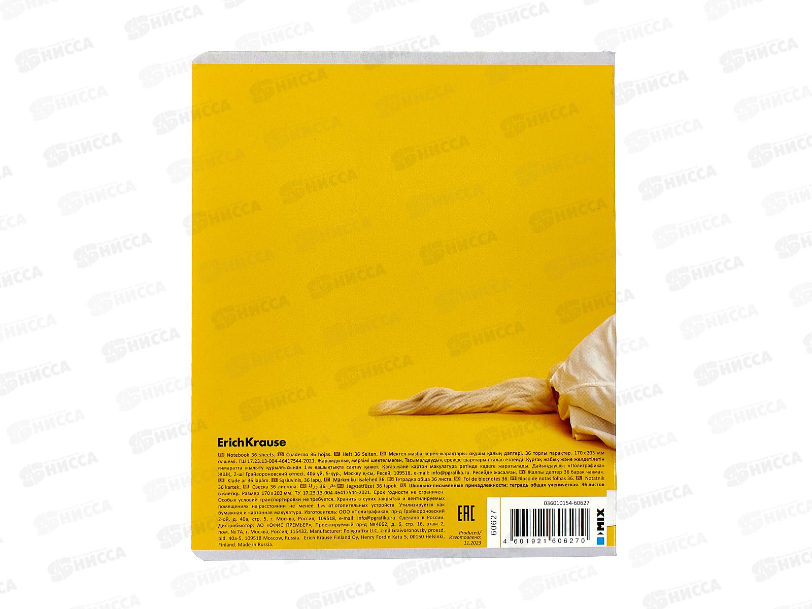 Тетрадь 36листов клетка  ПОЛИ Ученые собаки 60627*5/120