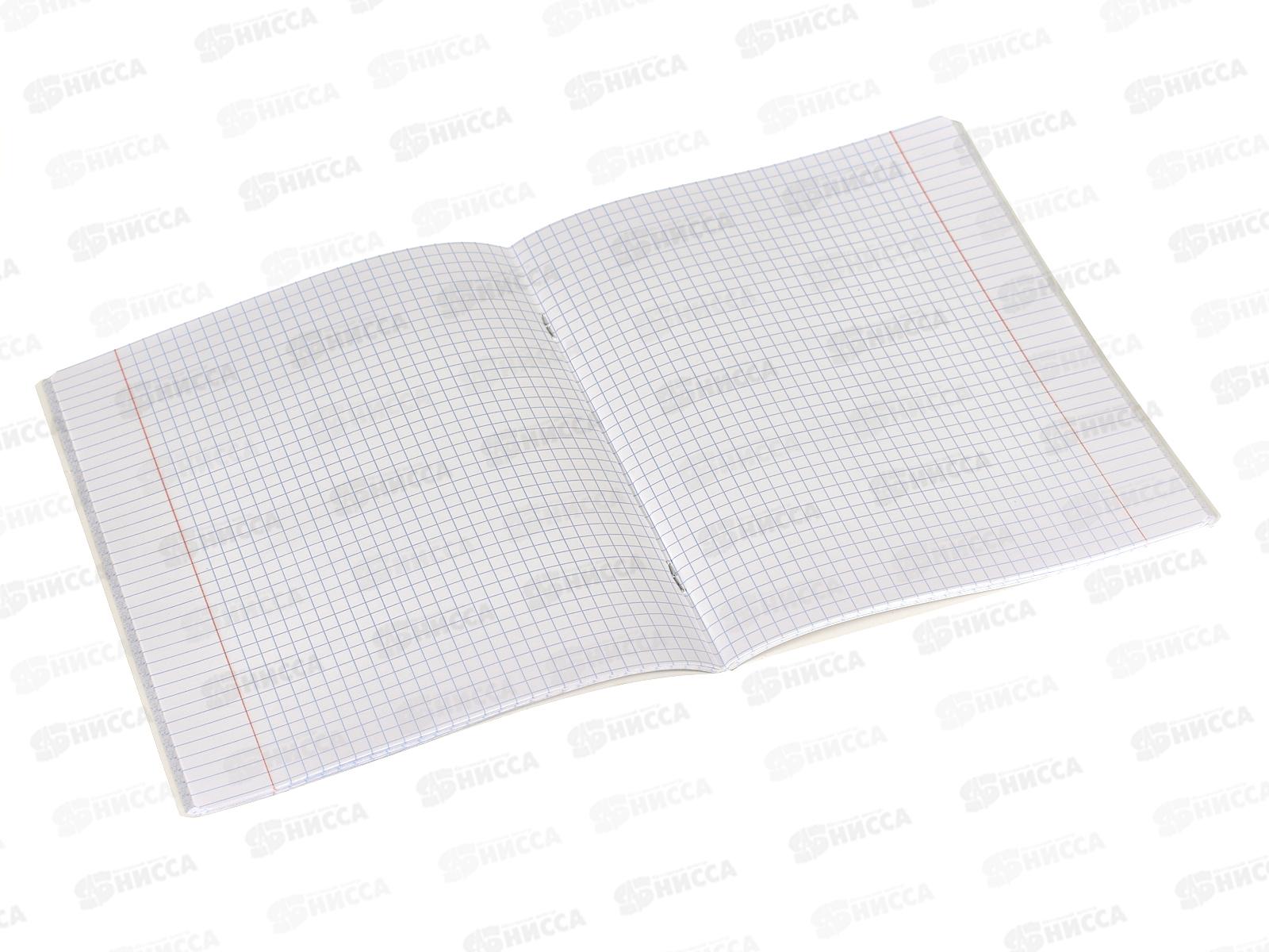 Тетрадь 48листов клетка  ПОЛИ Sneakers 60620 *5/100