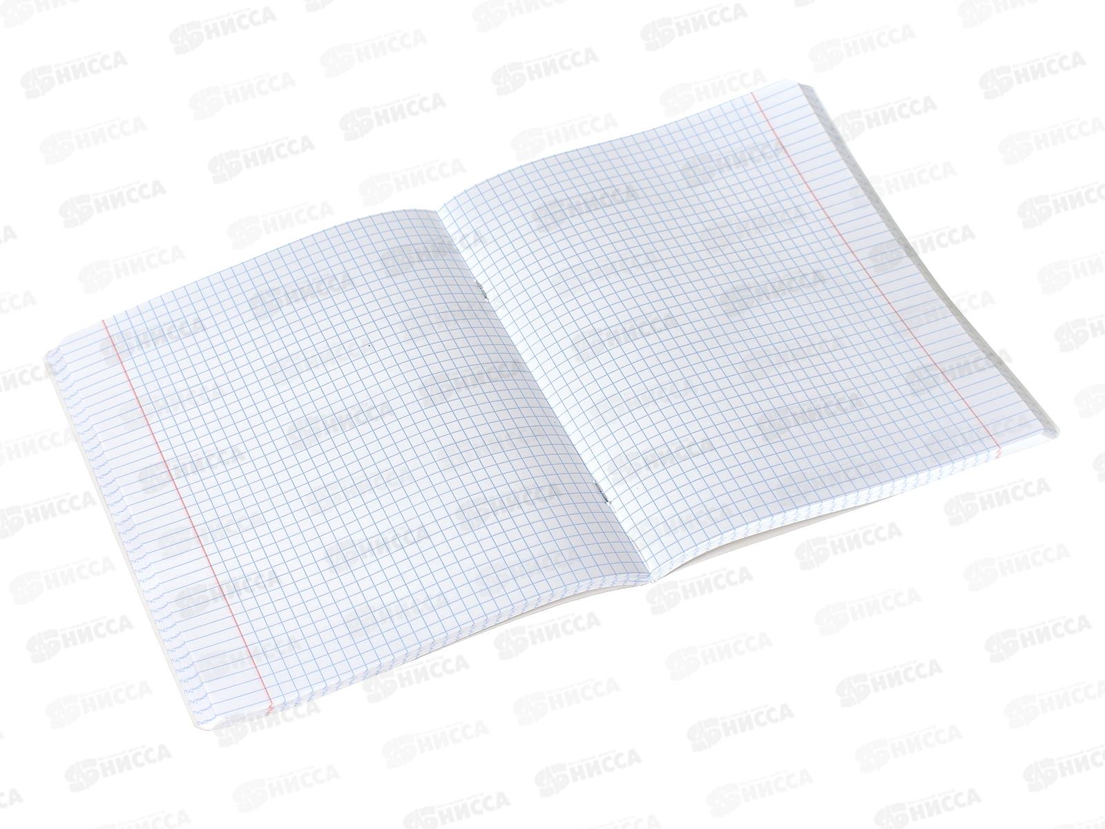 Тетрадь 96листов клетка  ПОЛИ X-Ray 60595 *5/60