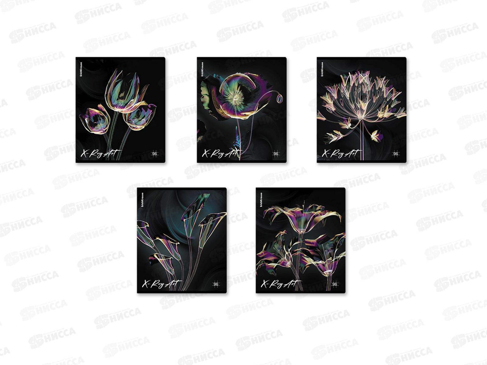 Тетрадь 96листов клетка  ПОЛИ X-Ray 60595 *5/60