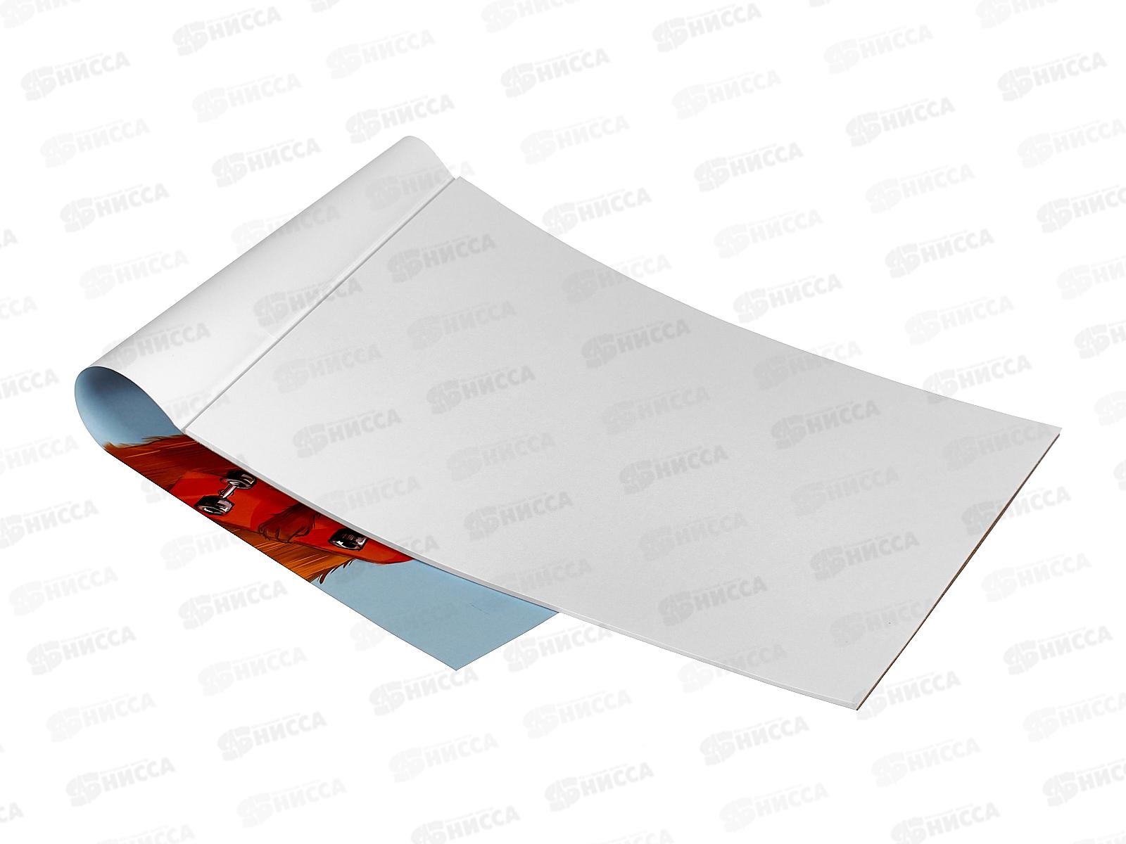 Альбом для рисования 20л ПОЛИ Happy Capy 61467*40