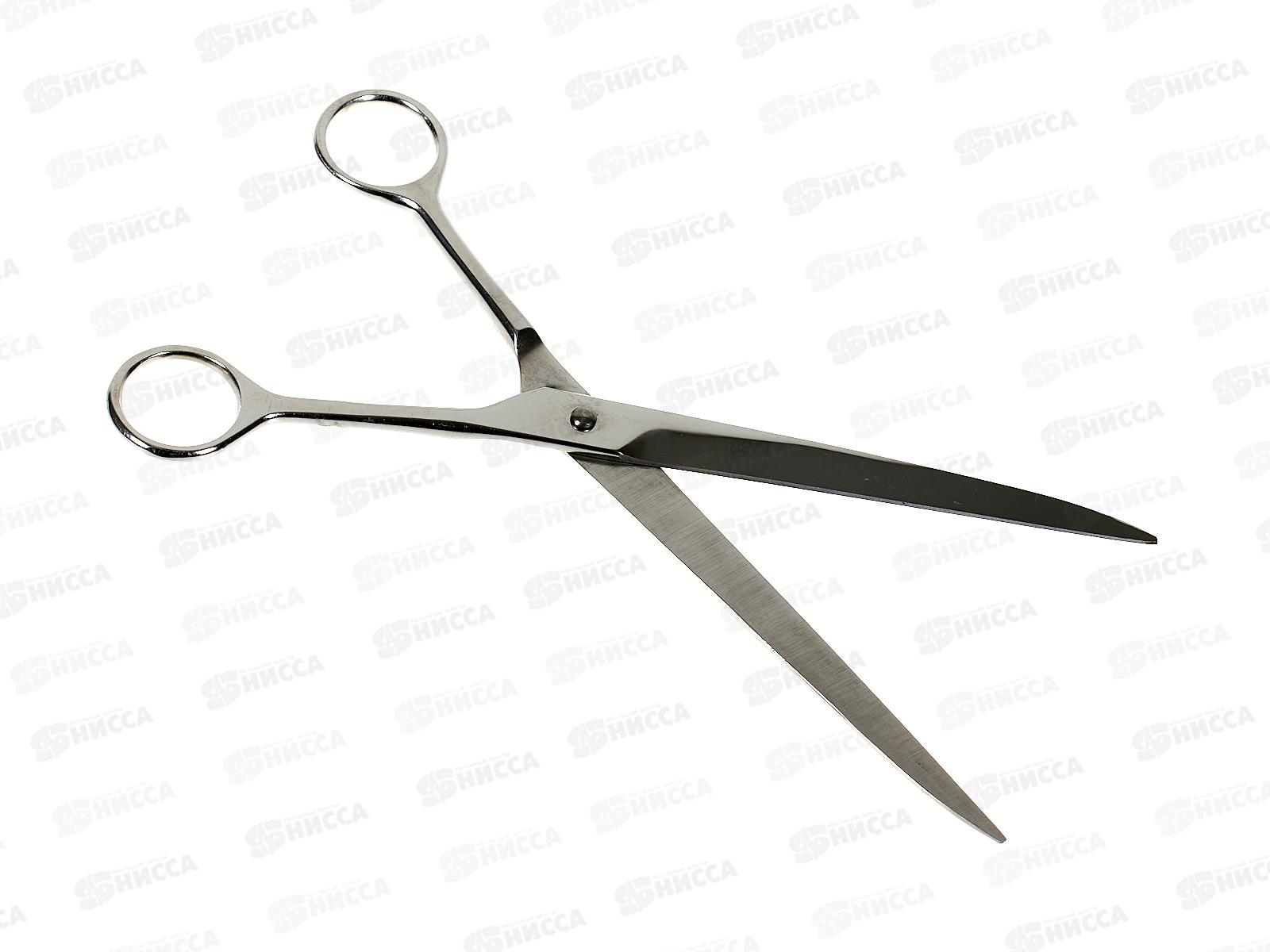 Ножницы ГОРИЗОНТ 250мм, Н-18