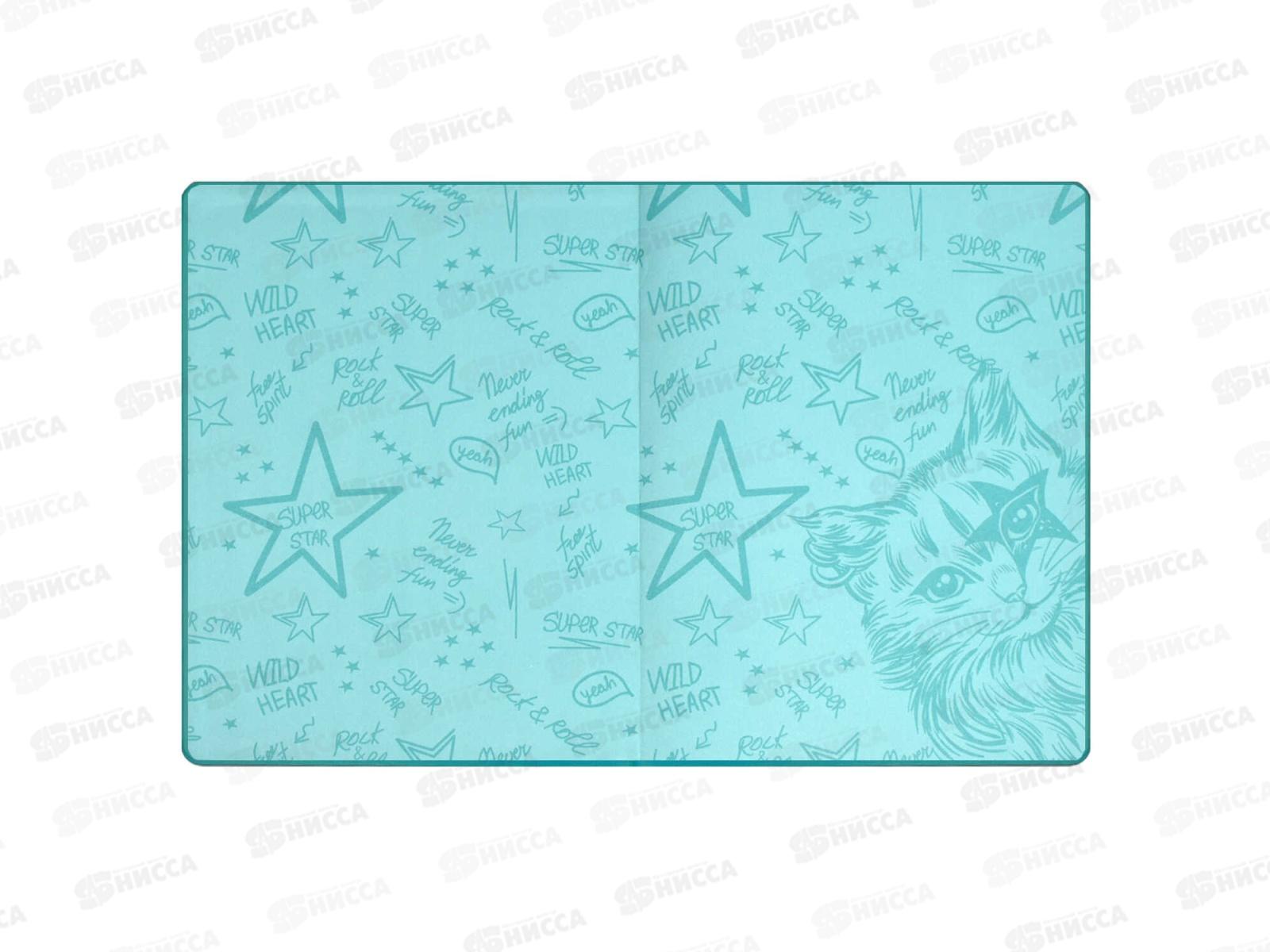 Дневник ФЕН Кот-рокер,62117*26