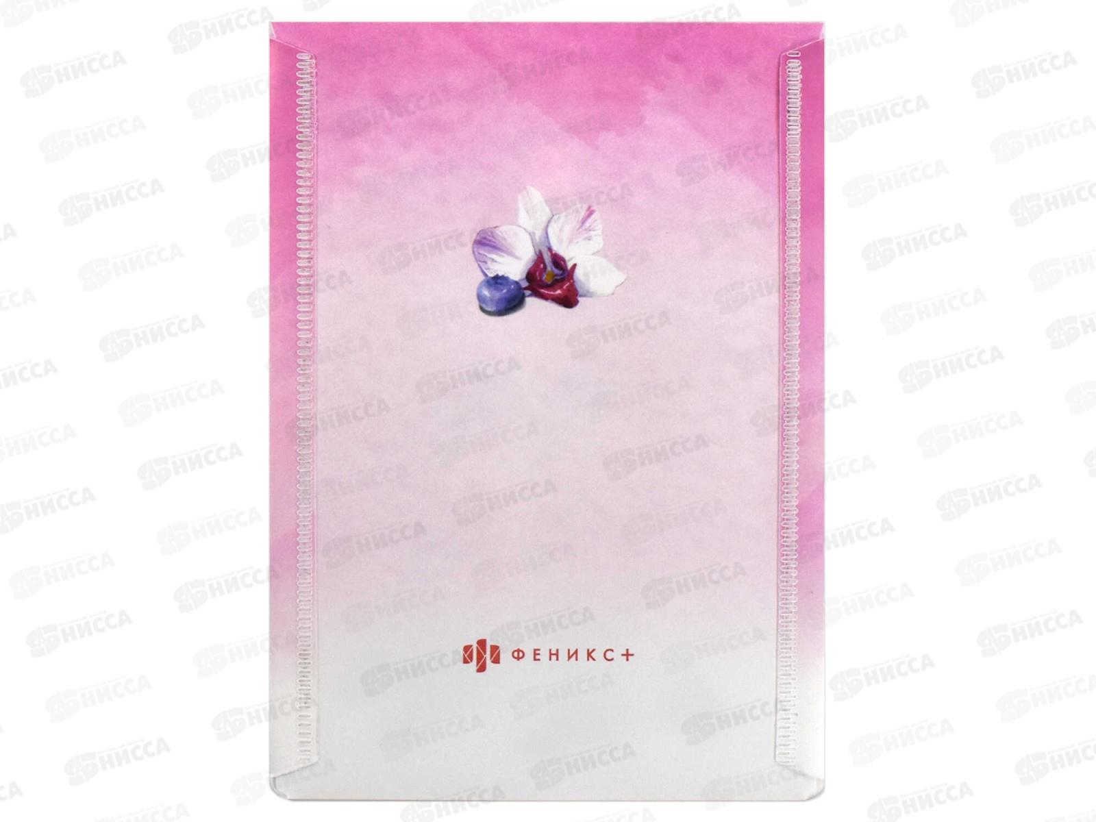 Папка д/документов ФЕН 15,8*11,4, Яркие лимонады, с кноп., 65858 *12