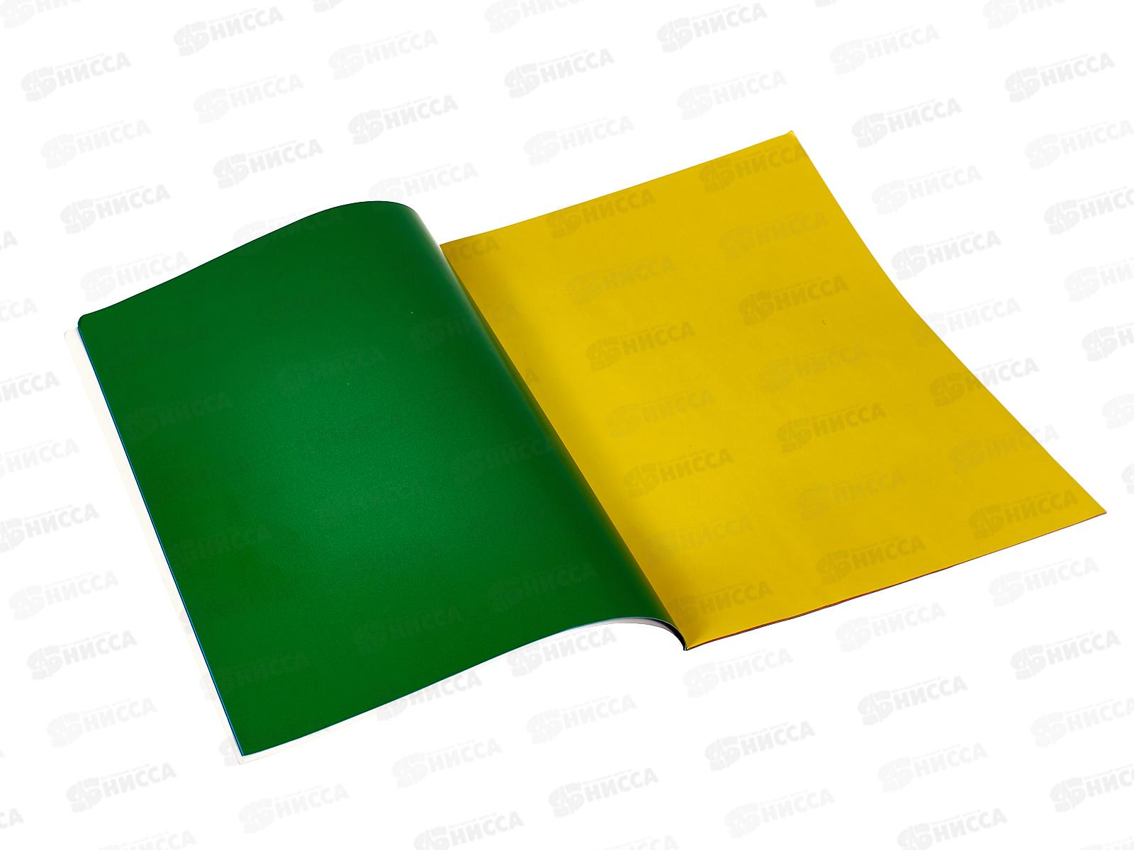 Цветная бумага 16л  А4 ФЕН Селфи,64780*50