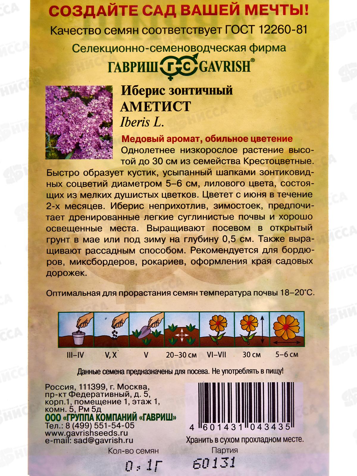 Иберис Аметист 0,1г DH *10 ГШ