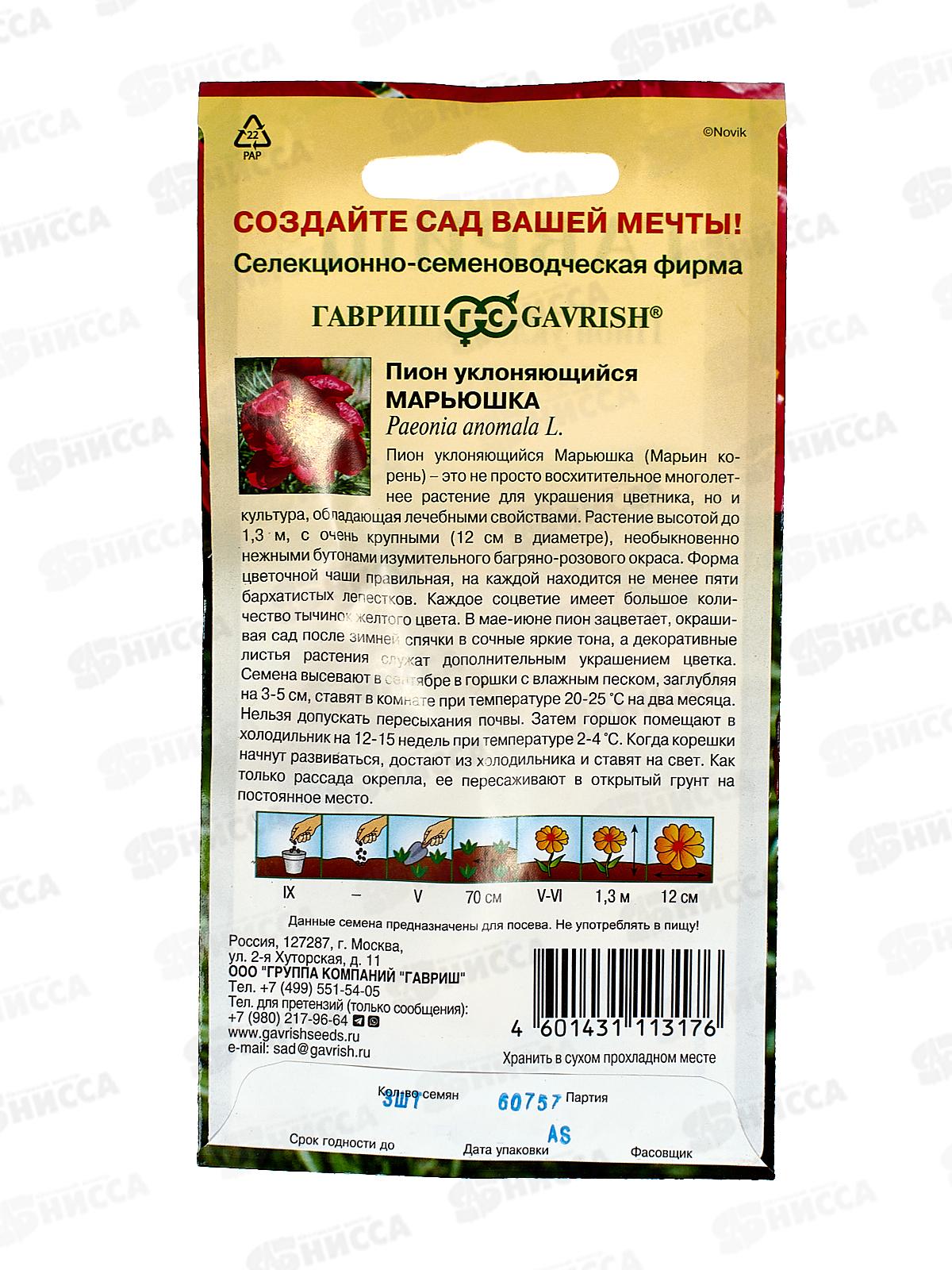 Пион уклоняющийся Марьюшка 3шт Н22 *10 ГШ +