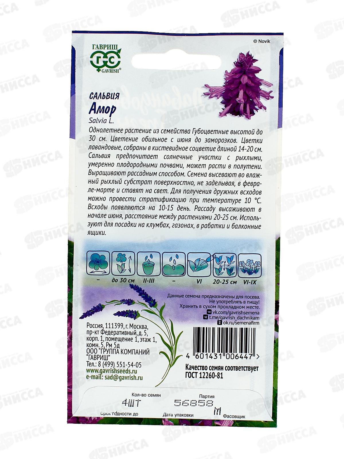 Сальвия Лавандовая Амор 4шт  *10 ГШ +