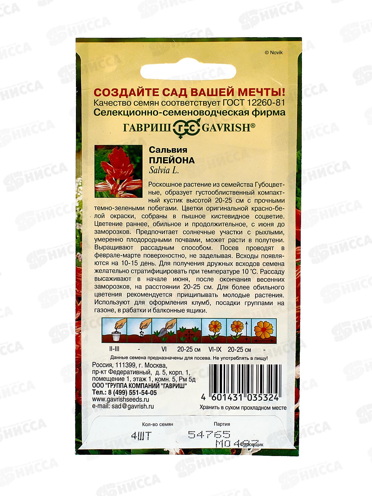 Сальвия Плейона карликовая 4шт  *10 ГШ +