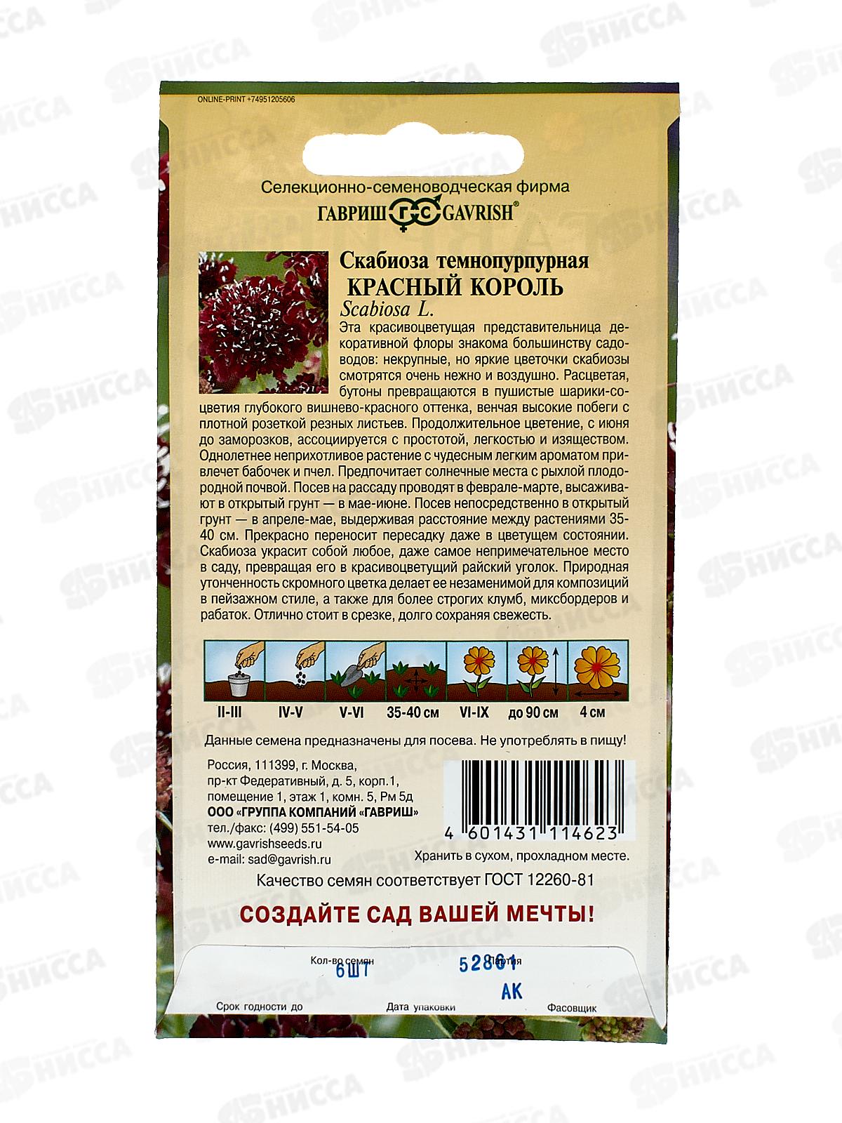 Скабиоза темнопурпурная Красный король махр. смесь 6шт *10 ГШ +