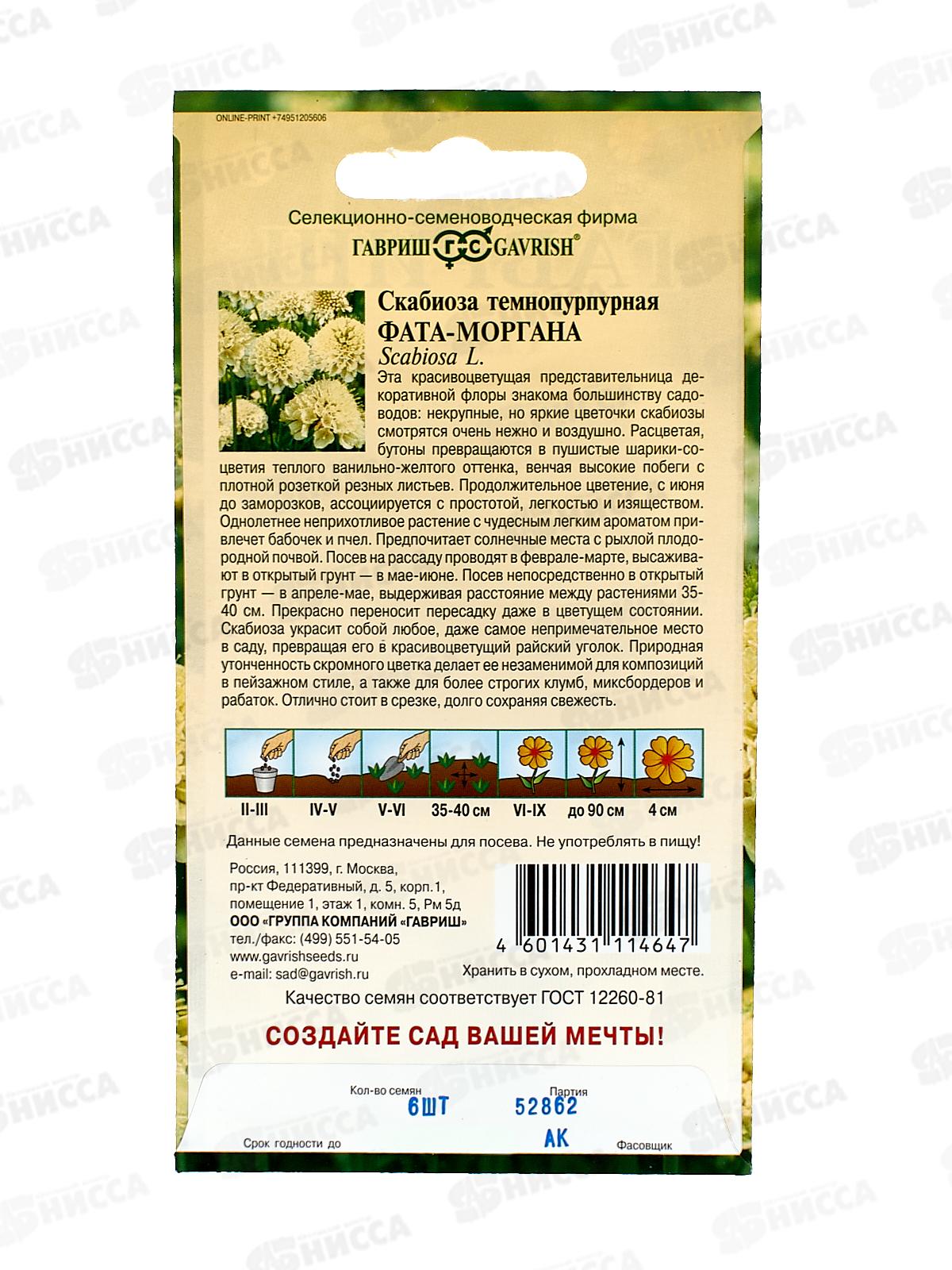 Скабиоза темнопурпурная Фата-моргана махр 6шт *10 ГШ +