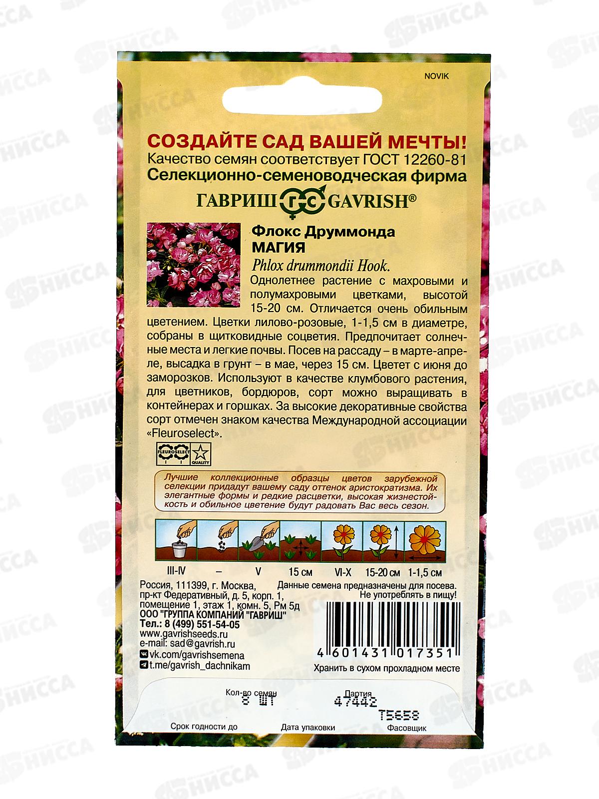 Флокс Магия Друммонда 8шт  *10 ГШ +