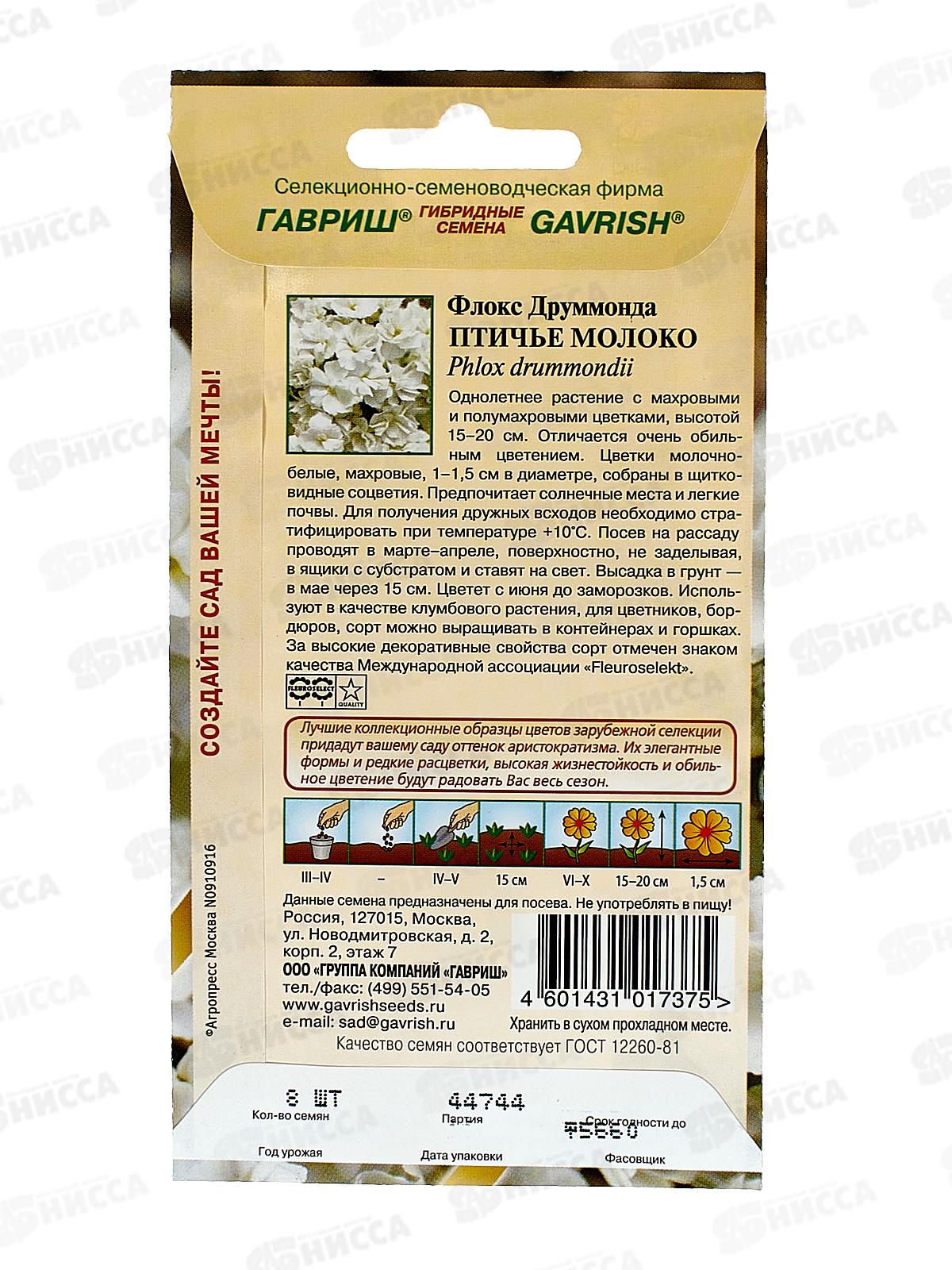 Флокс Птичье молоко Друммонда 8шт  *10 ГШ +