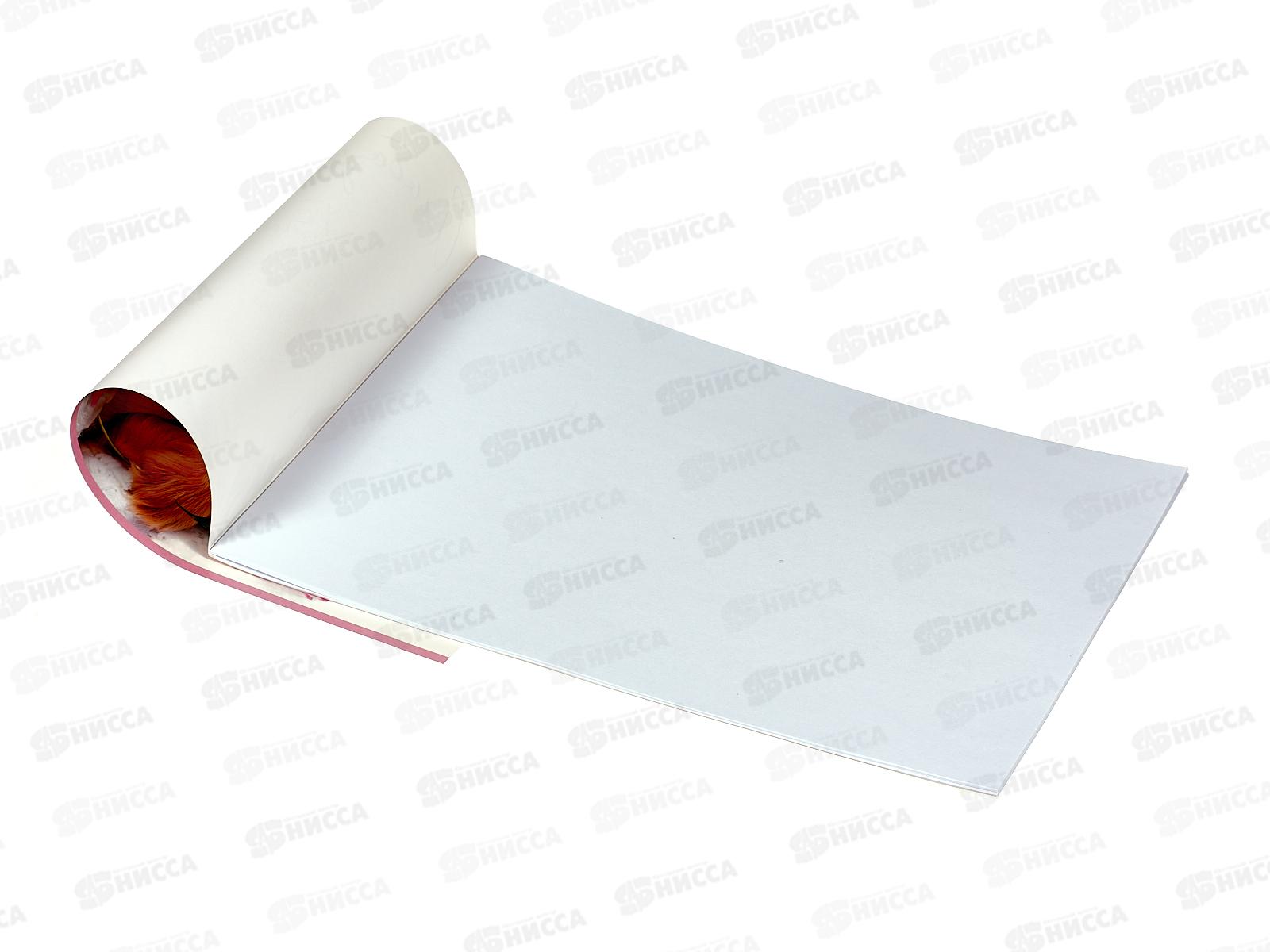 Альбом для рисования 16л Hatber Очаровательные щенки *7/70