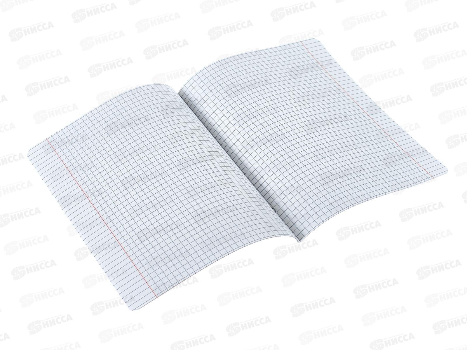 Тетрадь 18листов клетка Hatber пластиковая обложка скоба фиолетовая, 078241 *10/120