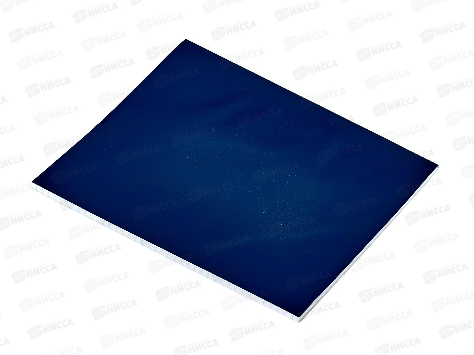 Тетрадь 48листов клетка   Hatber б/в  Синяя *100