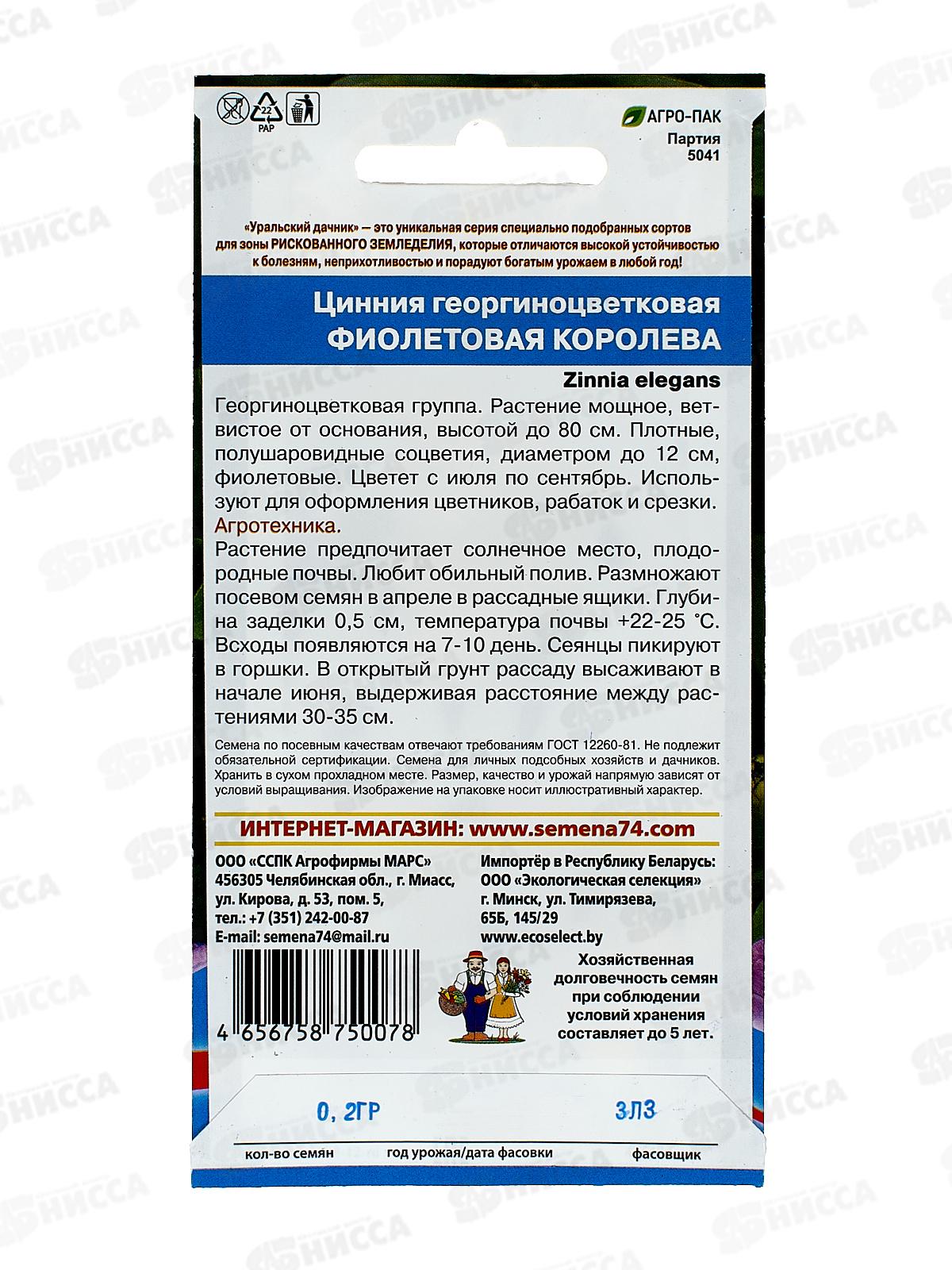 Цинния Фиолетовая королева Евро *10 УрД