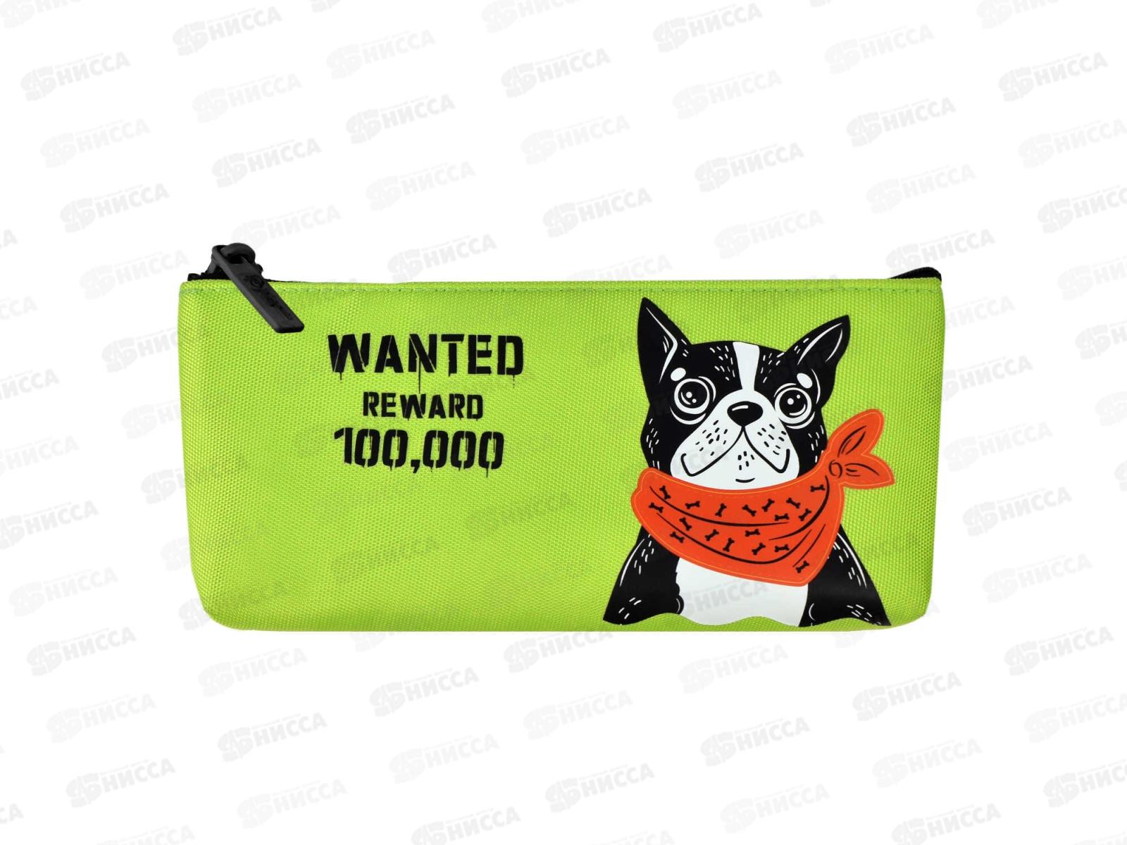 Пенал ФЕН Бандана бэнд,61301*12