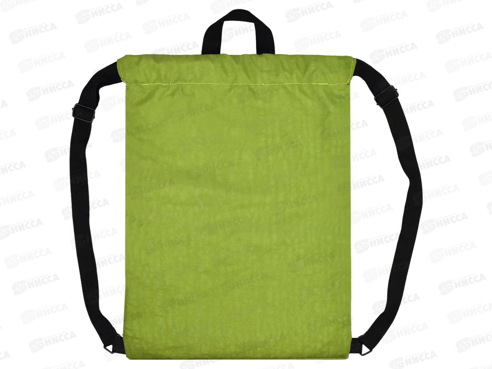 Мешок д/обуви ФЕН Заяви о себе,62494*12