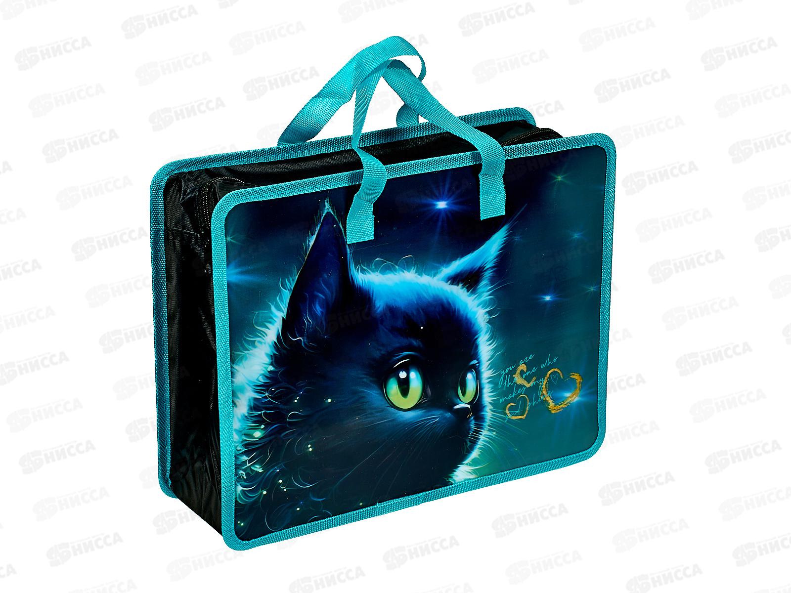 Папка д/тетр. deVente Black Cat Изо и технологии., А4 пластик 8054472